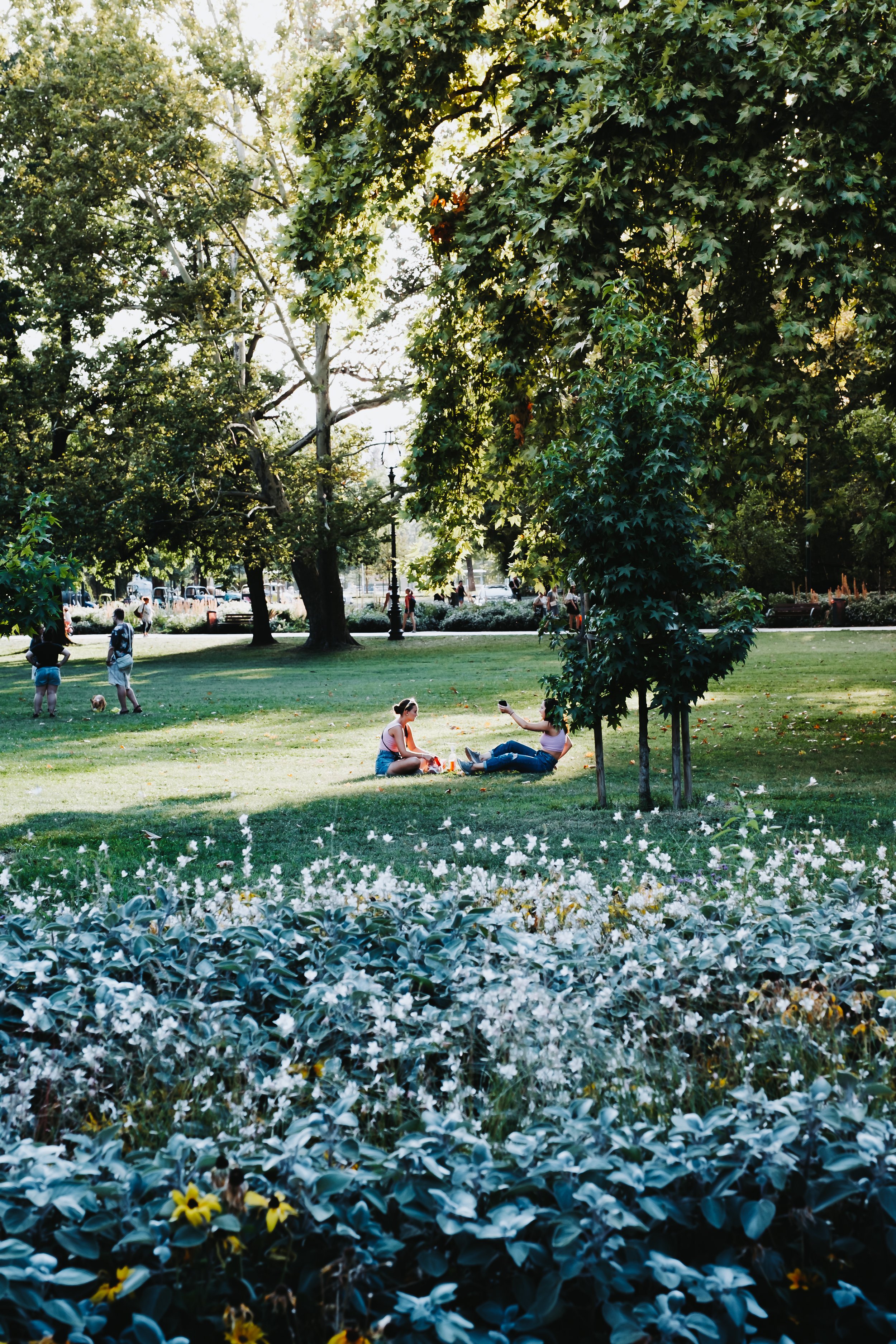 DSCF8583.jpg