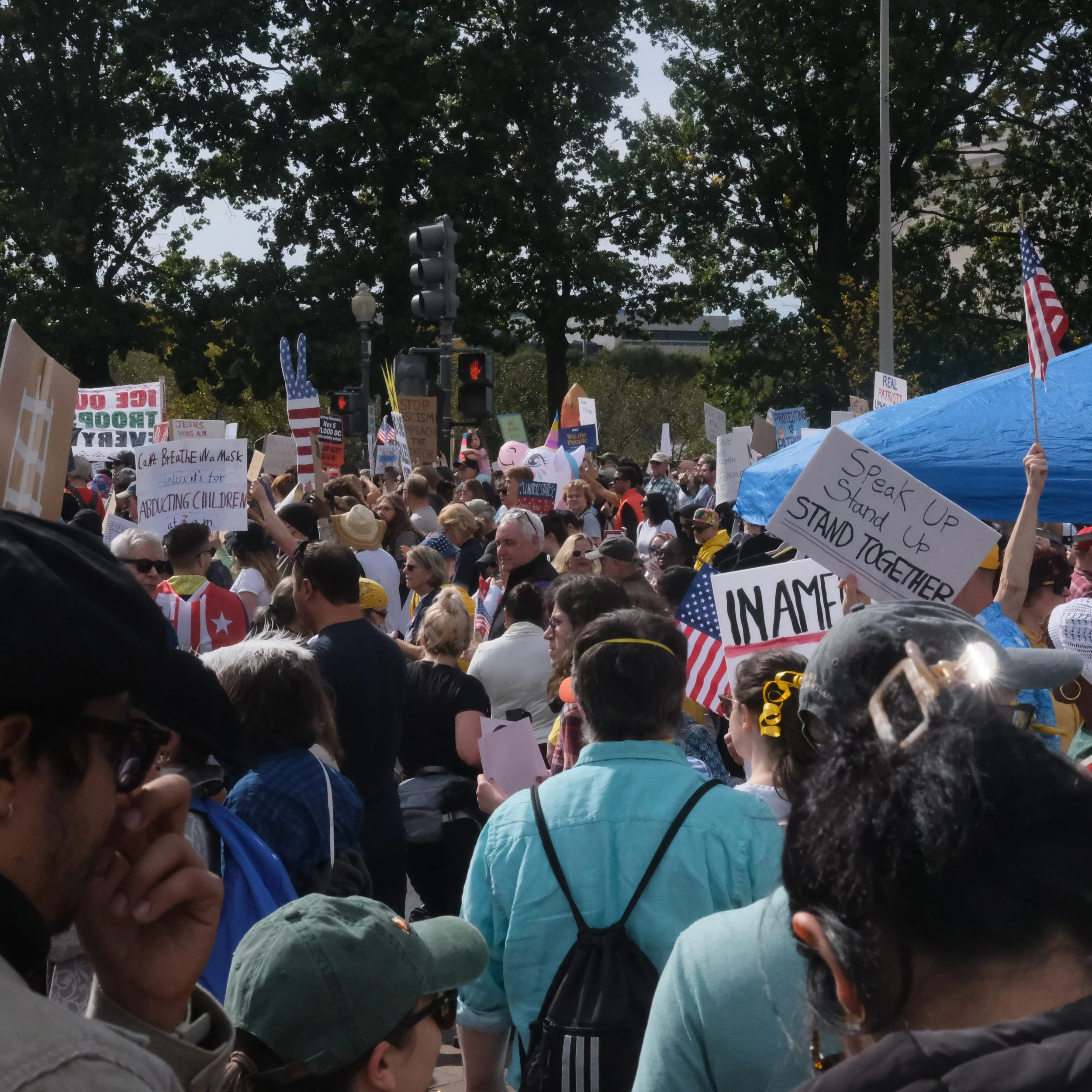 crowd (1).jpg