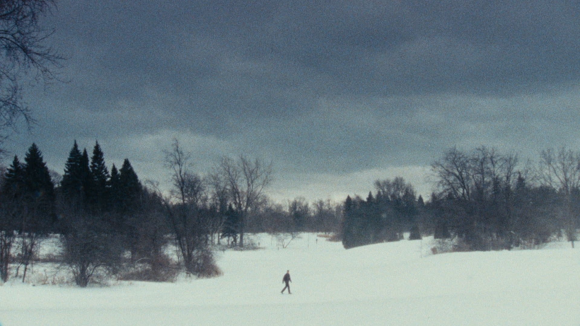 Person walking on snow-covered landscape with trees under a dark, cloudy sky.