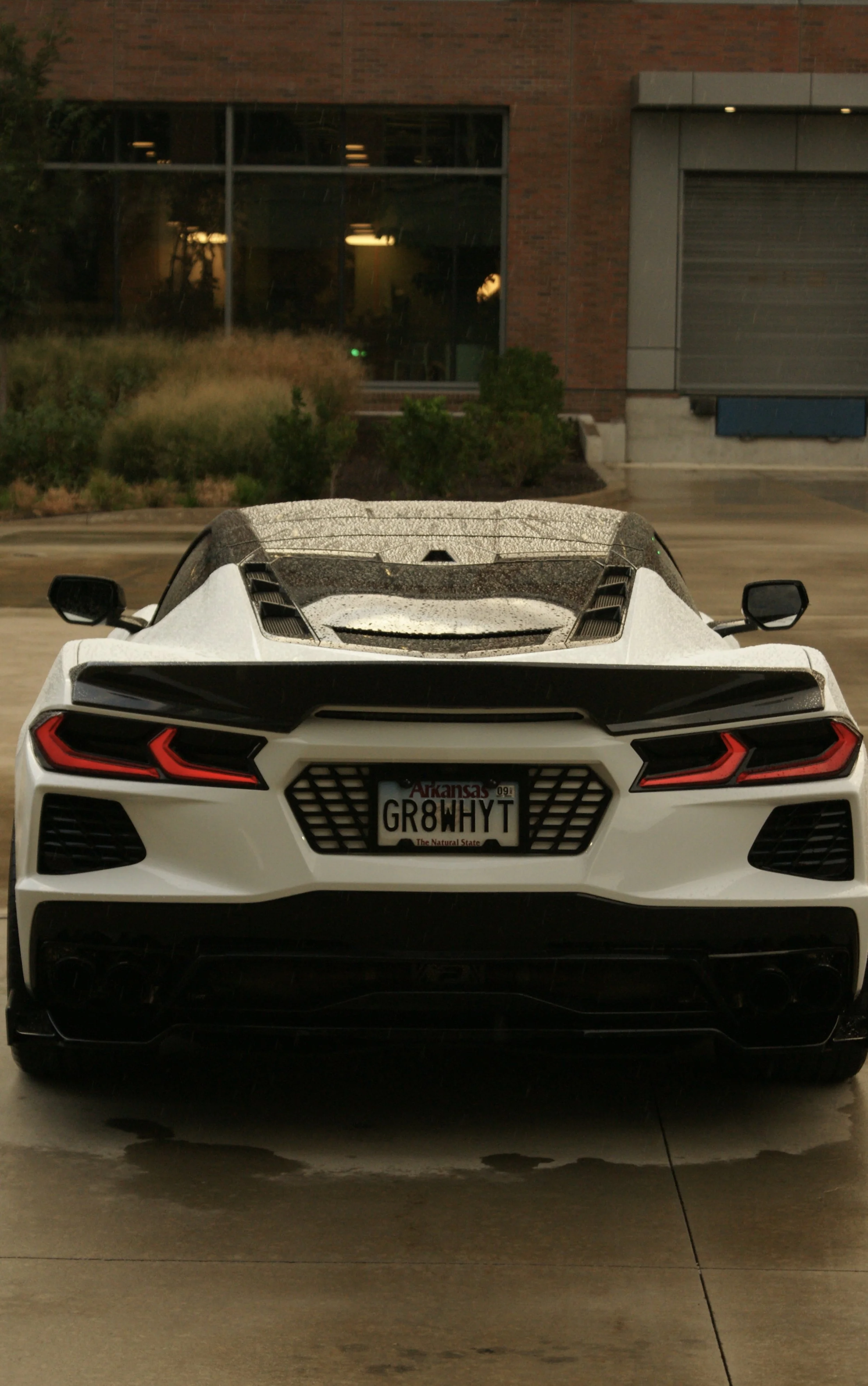 C8 Corvette the Great White