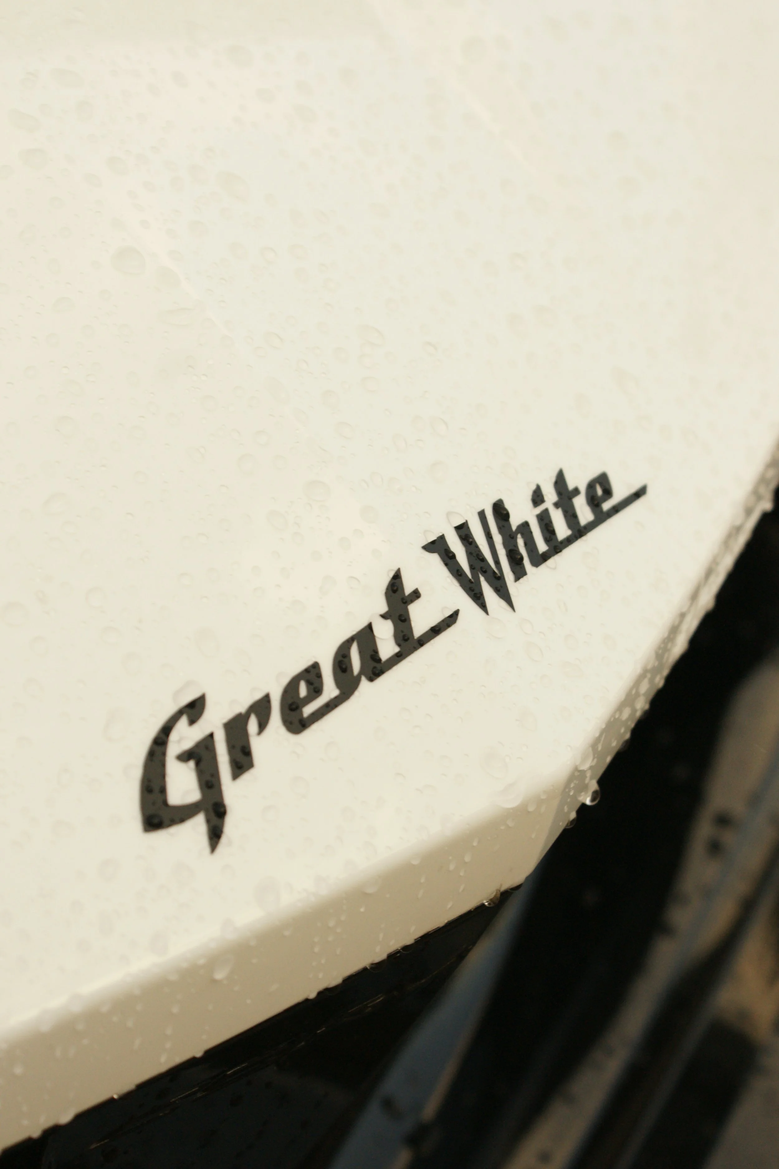C8 Corvette the Great White