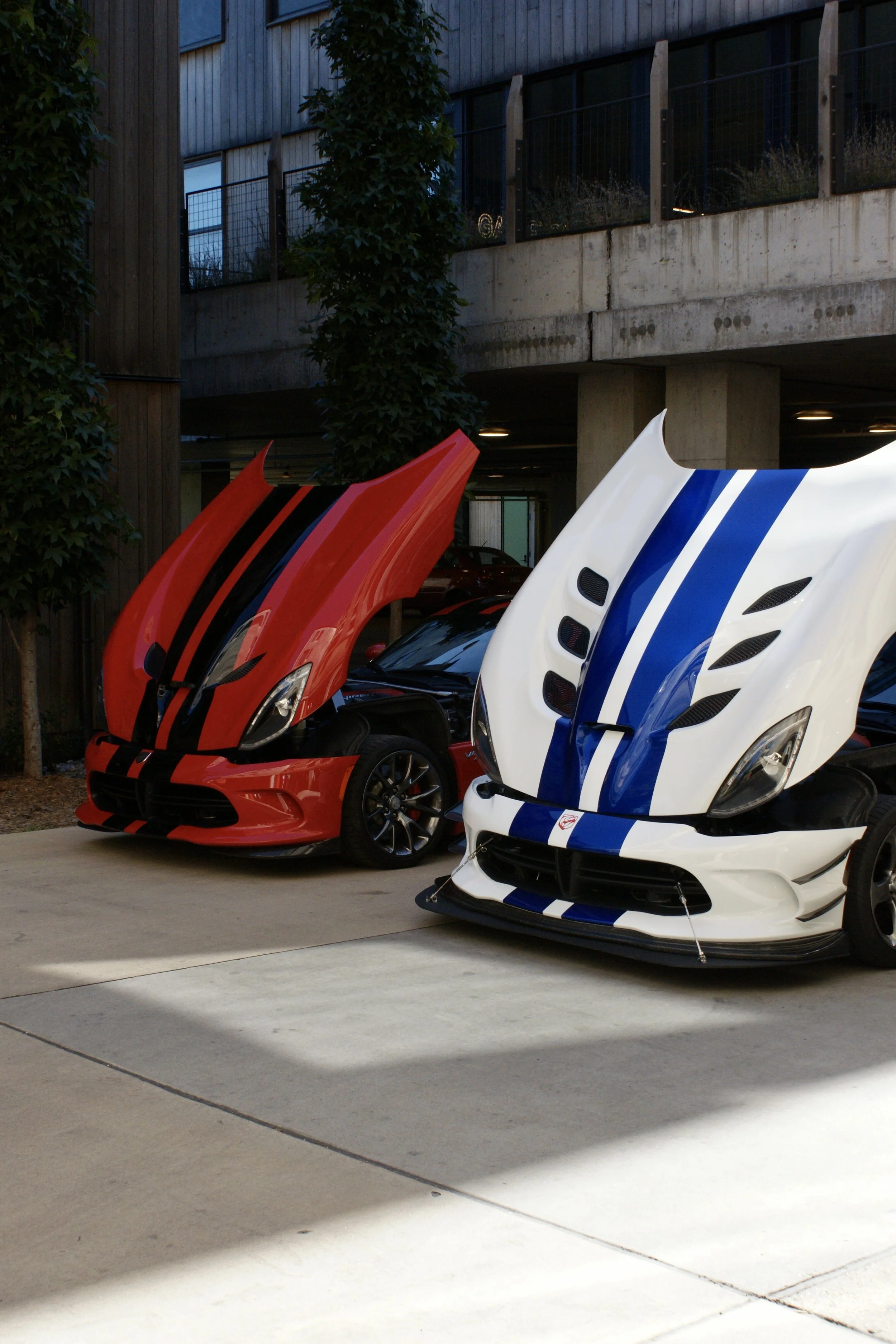 Dodge Viper Duo