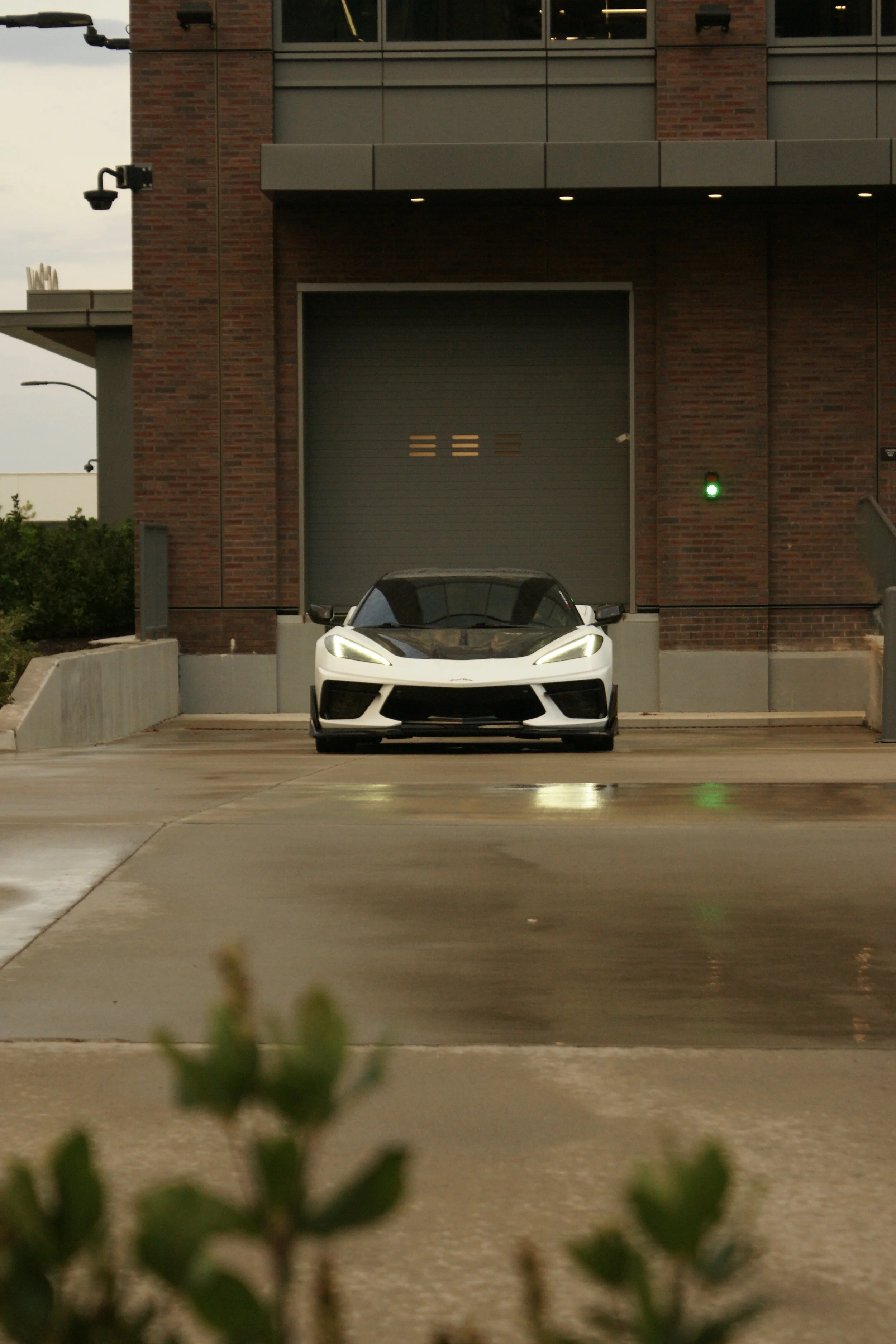 C8 Corvette the Great White