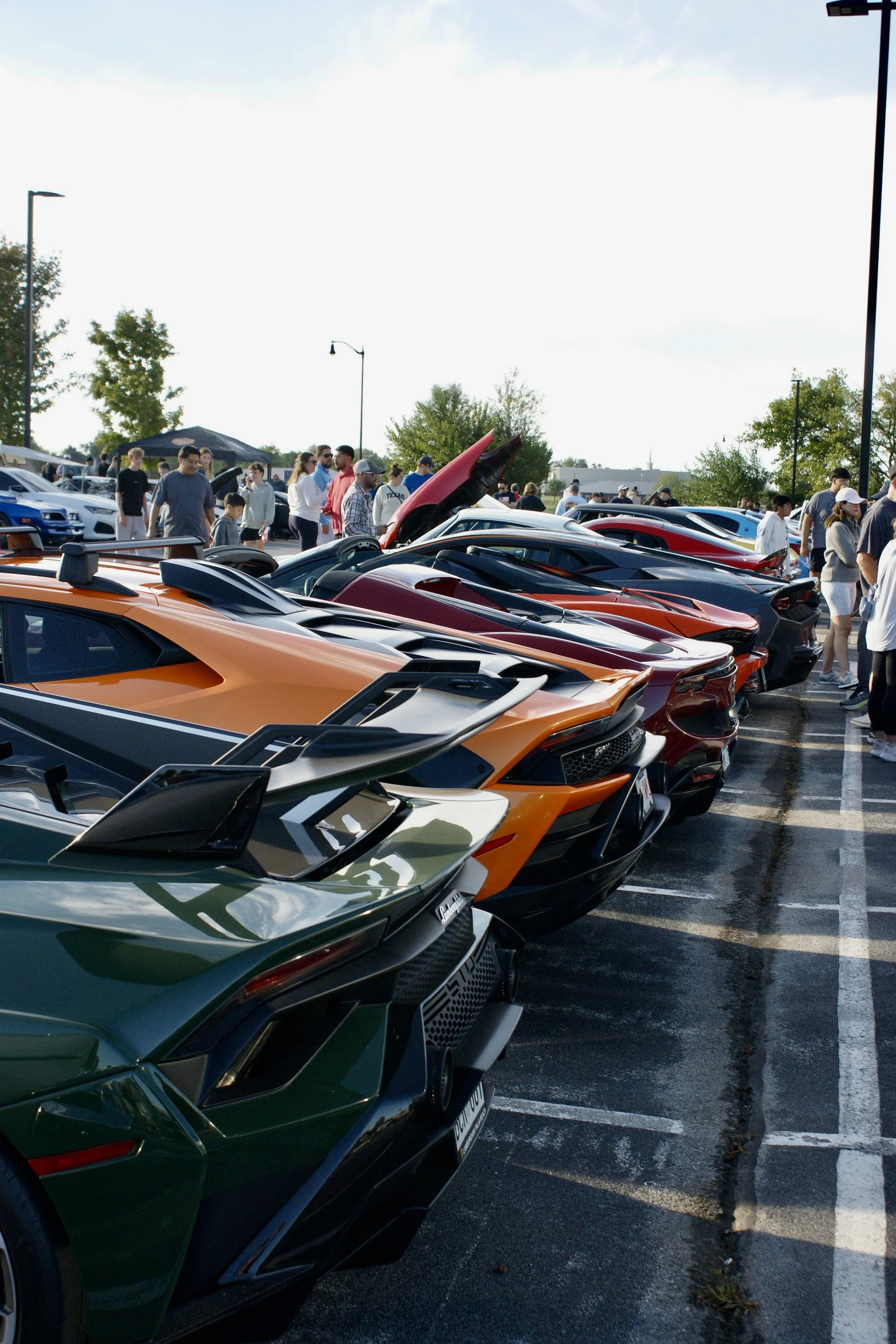 DSC06071.jpg