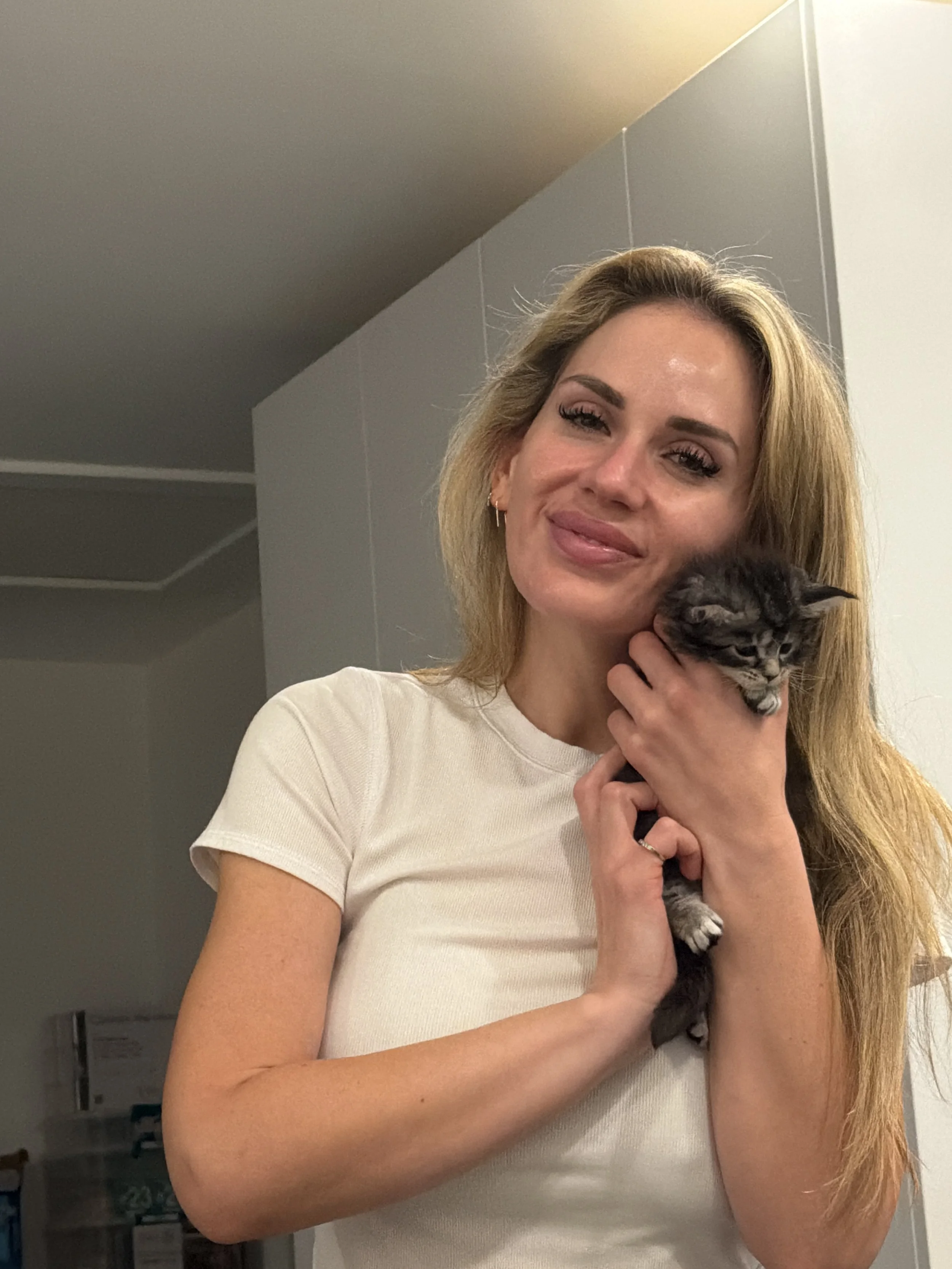 A woman with wavy long blonde hair and wearing a white short sleeve shirt is holding up a cute fluffy white black and grey color tabby Maine Coon kitten. The women is smiling and the cute Maine Coon kitten is looking down towards the floor.