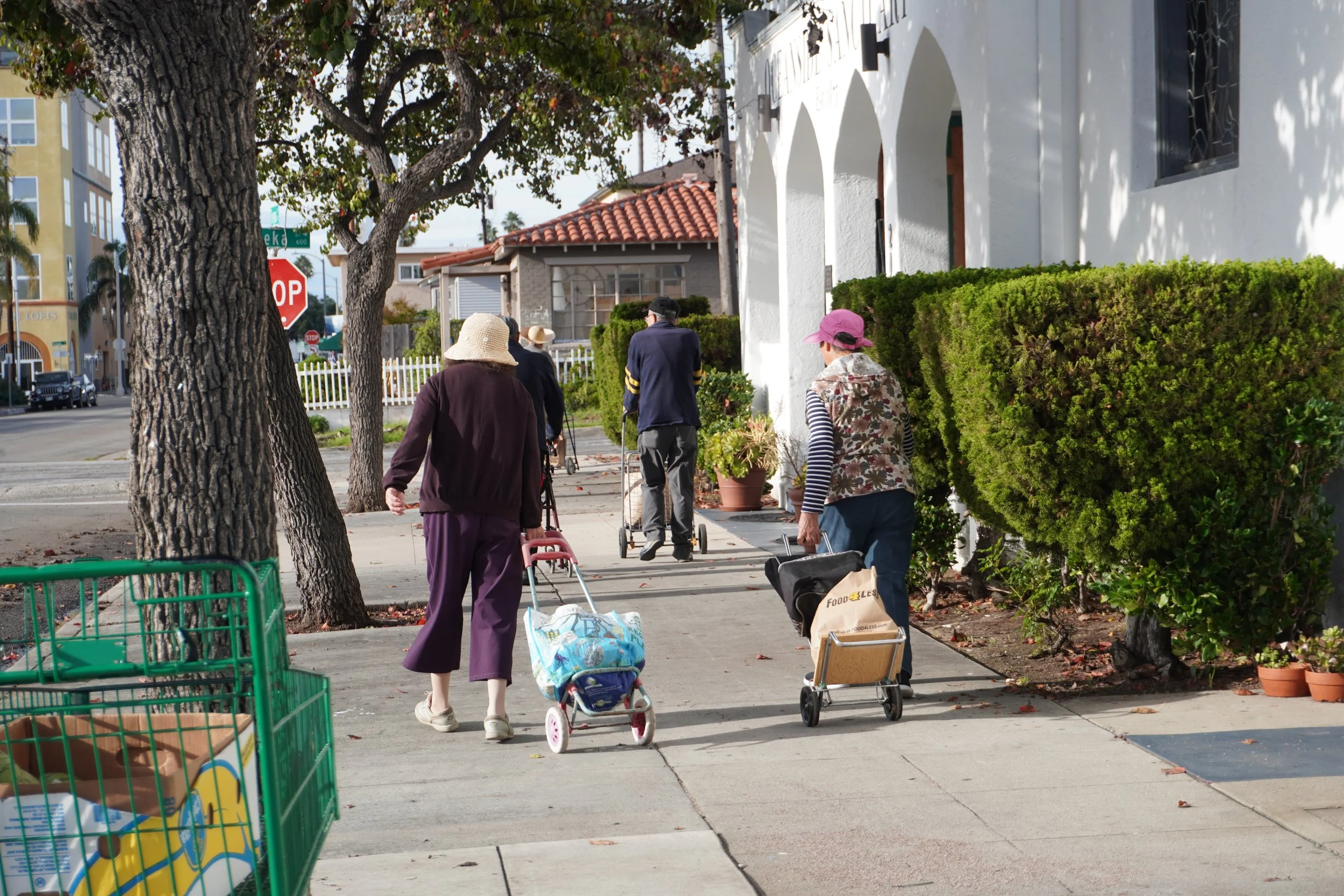 Seniors walking with shopping carts along a sunny neighborhood sidewalk