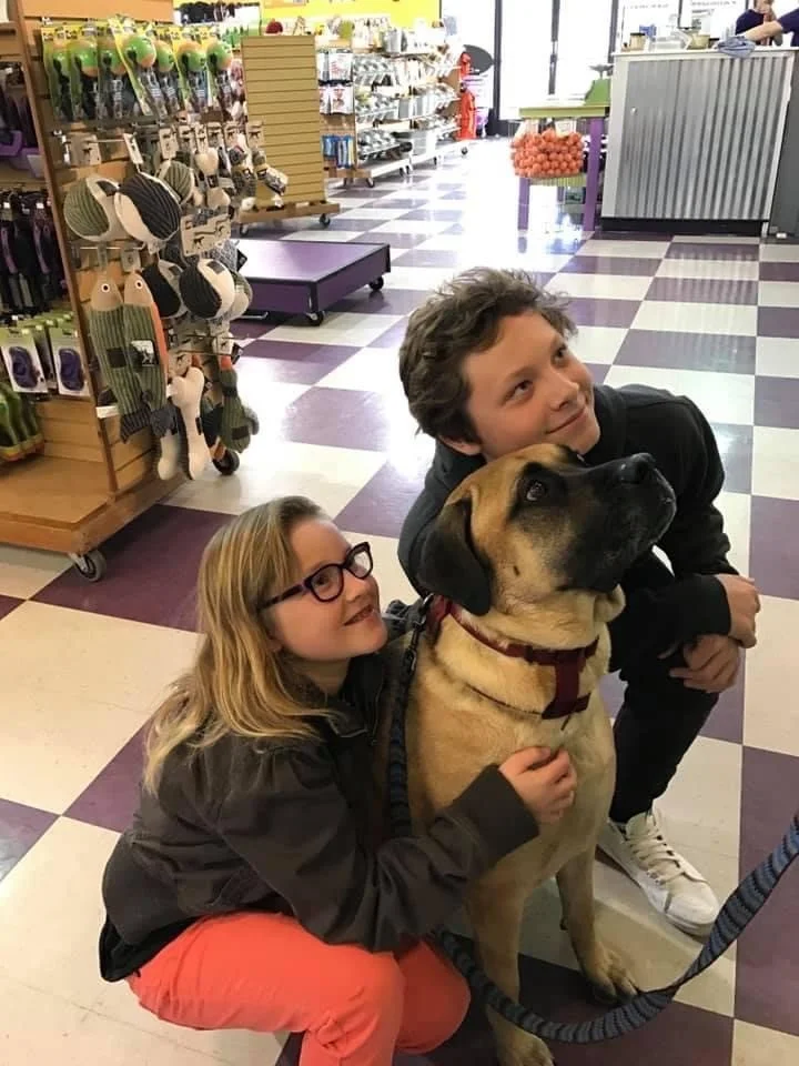 Two children hug a large tan dog inside a brightly lit pet store.