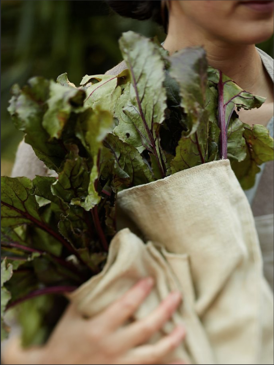 Person holding a cloth-wrapped bunch of fresh beet greens with red stems.