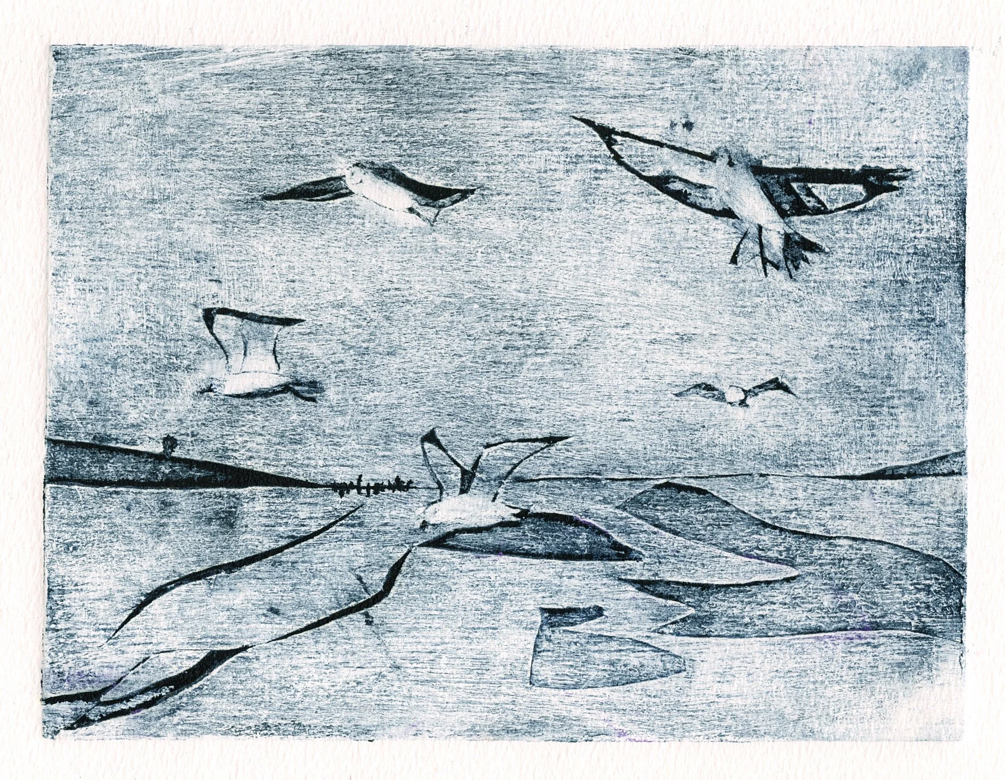 Seagulls (2025)