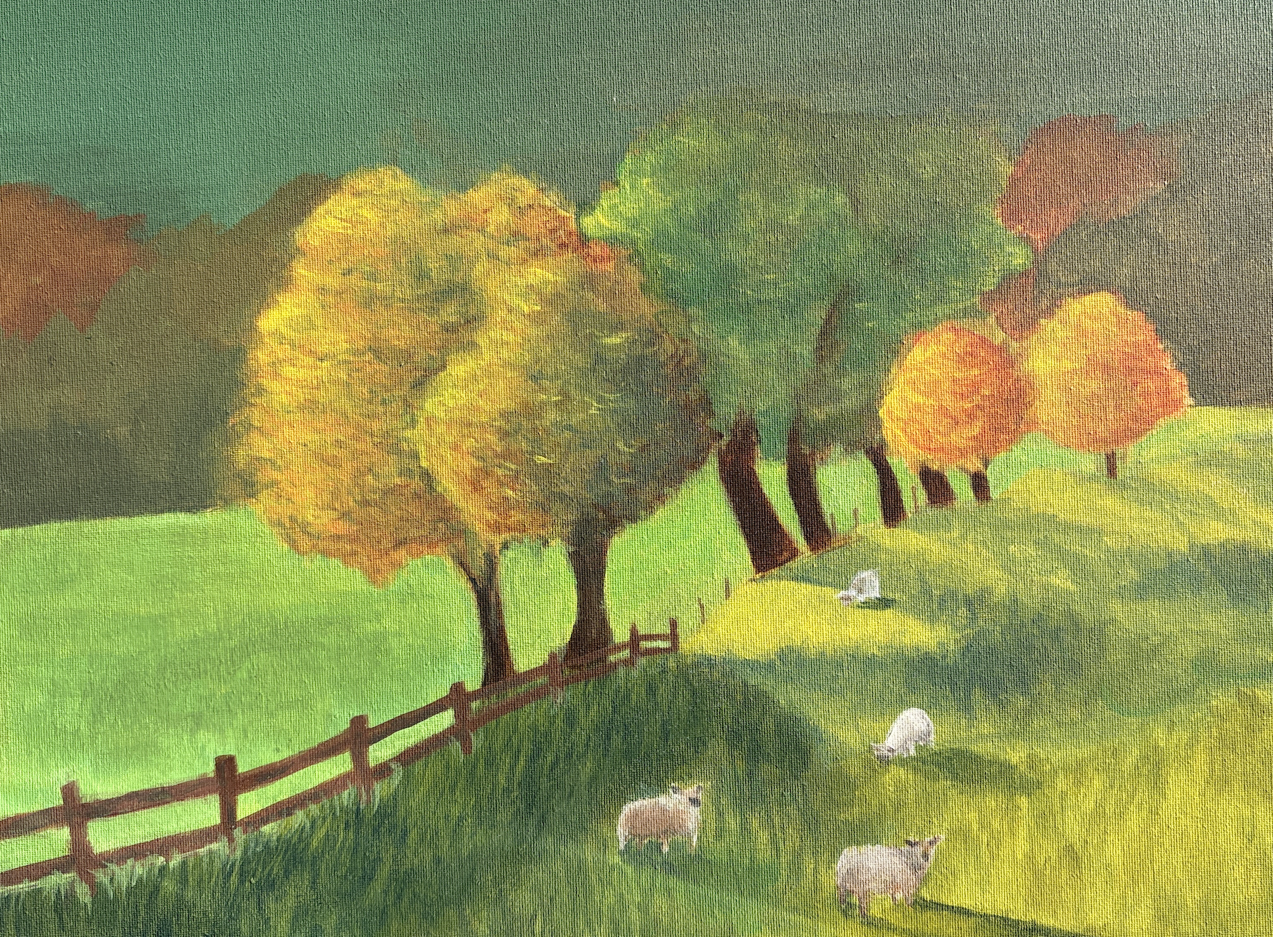 Sheep in Meadow (2025)