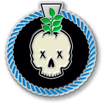 2020 pin  copy.jpg