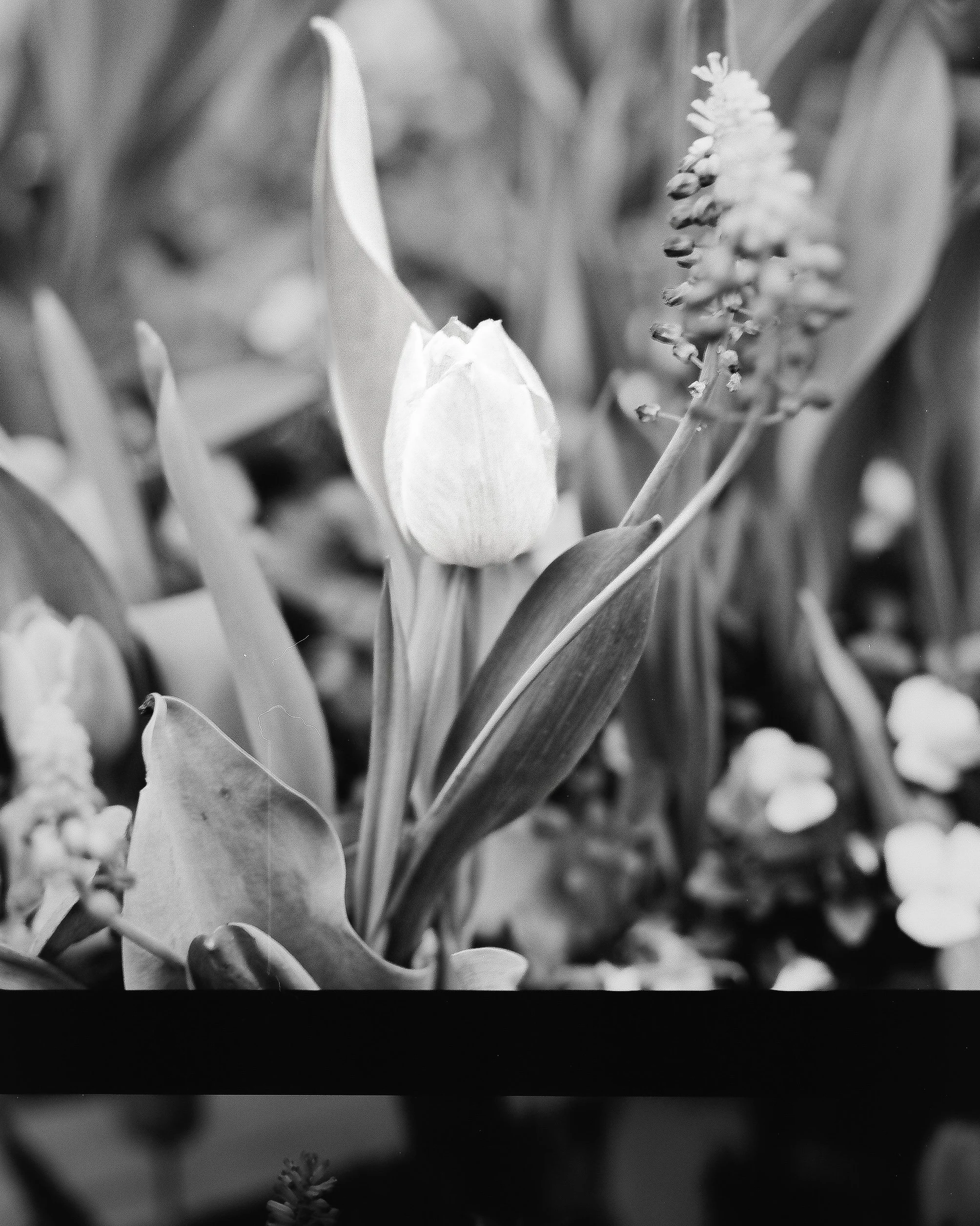 IMG_8127+3.png