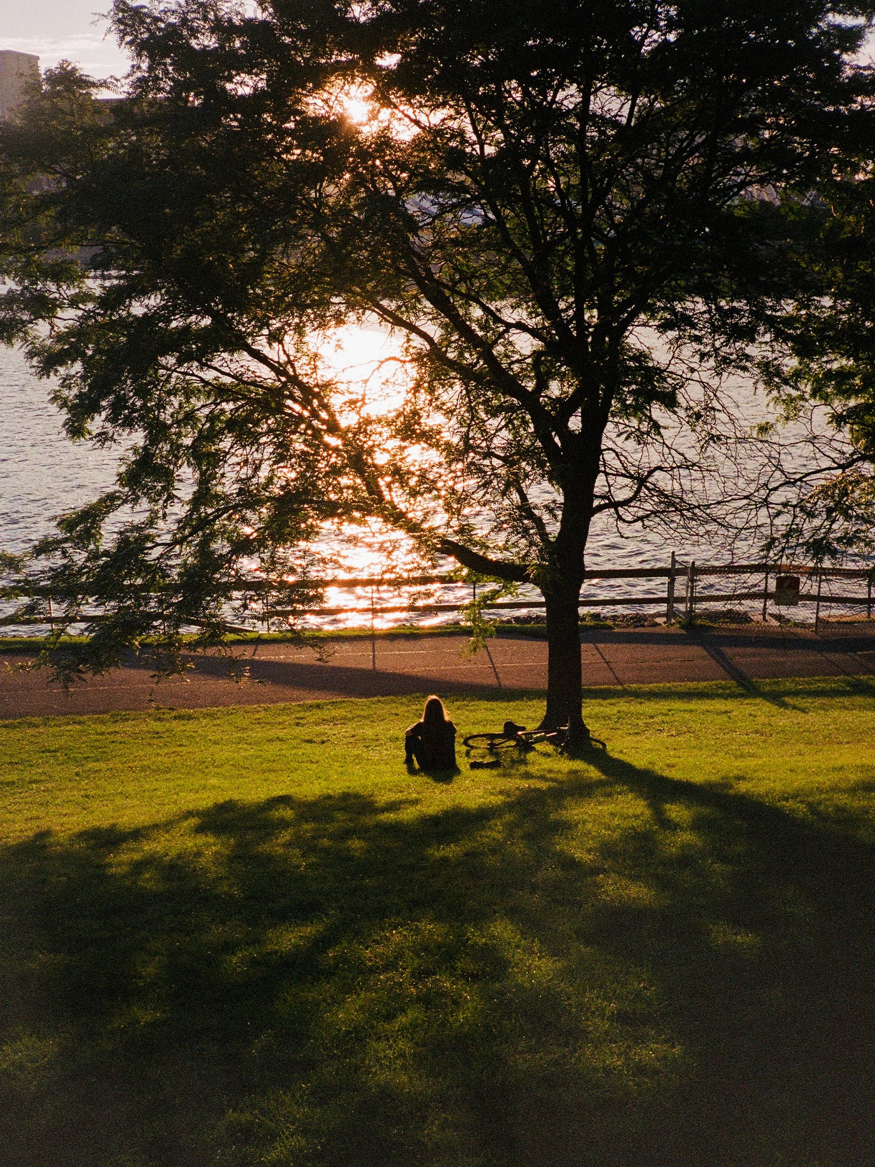Contemplation solitaire