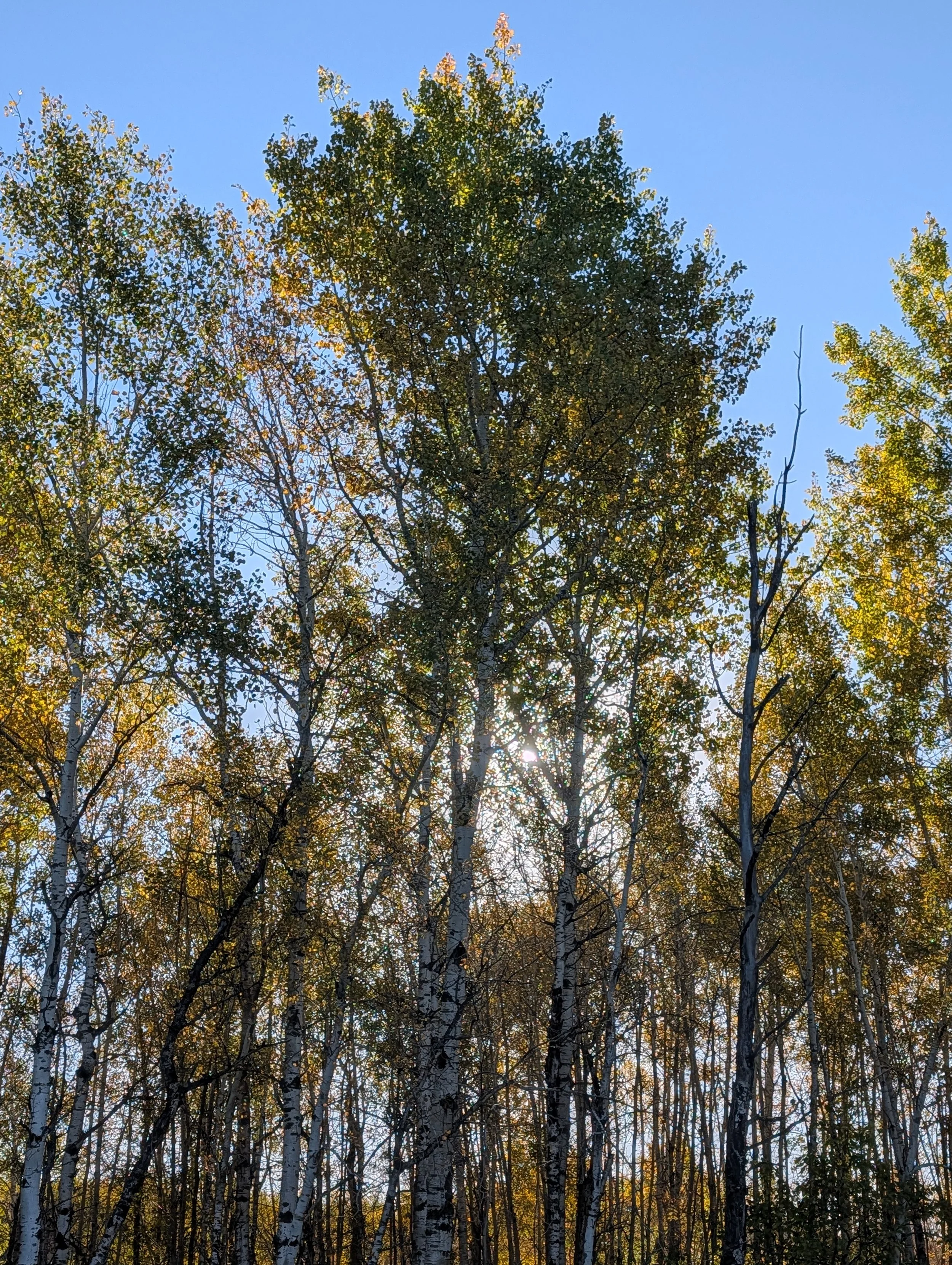 4355.jpg
