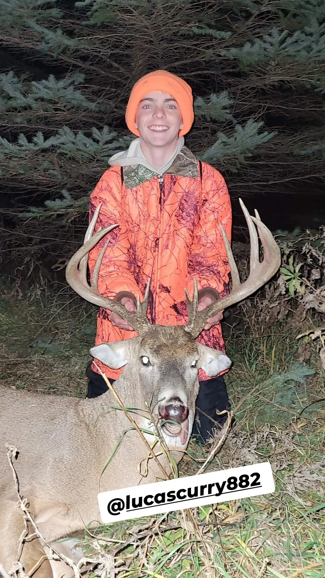 Lucas deer.jpg