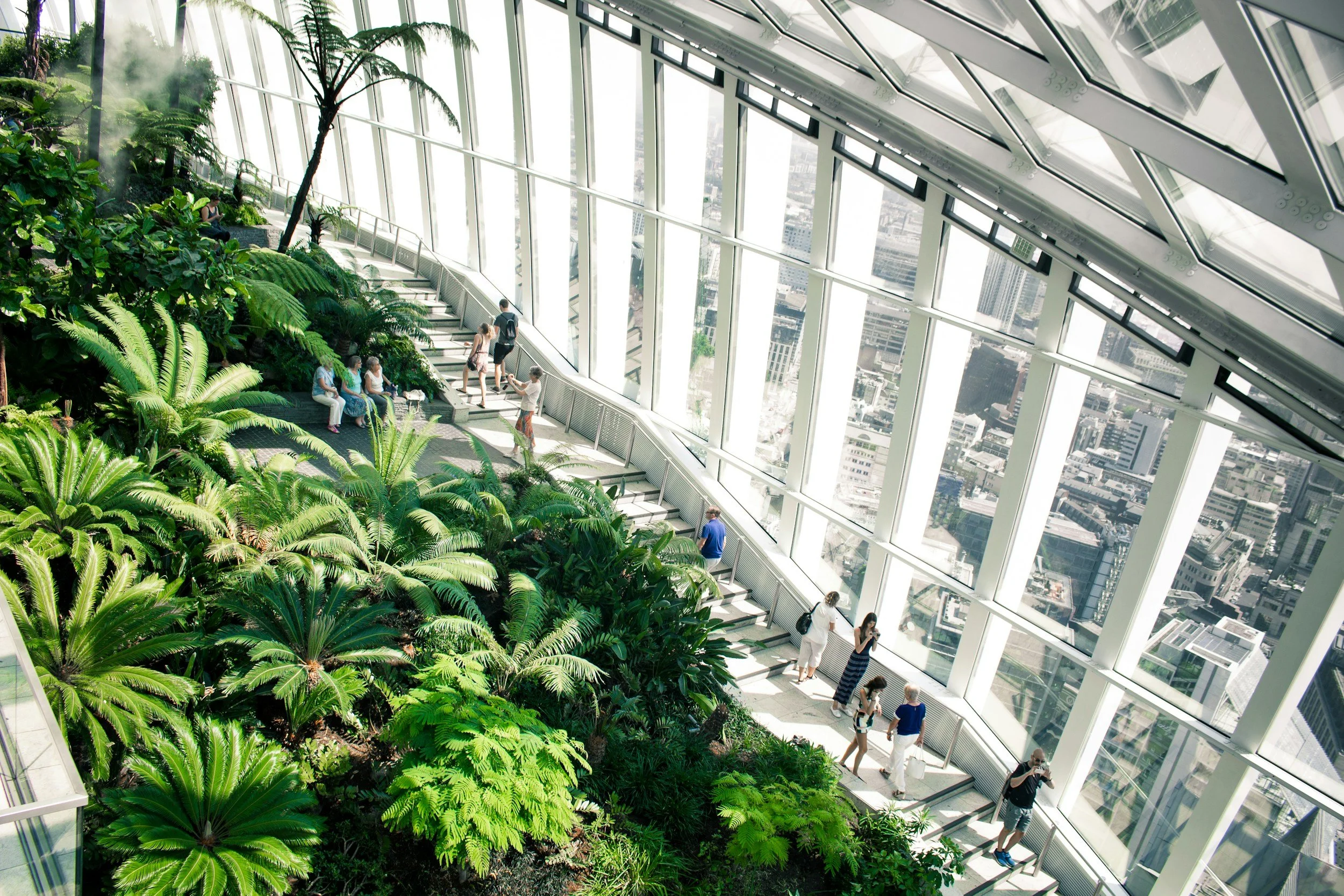 Lush tropical plants under the curved glass roof of the Sky Garden high above London