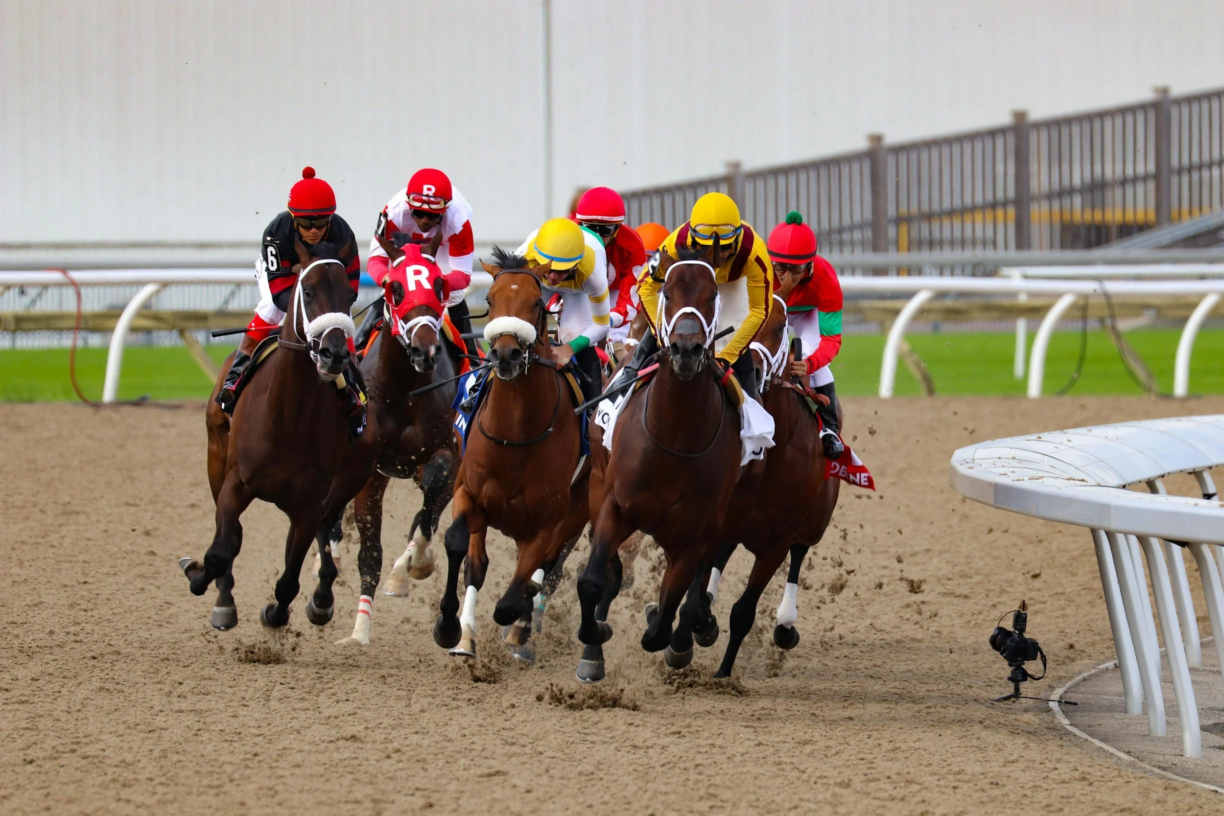 Jockeys in bright silks racing thoroughbreds around the turn of a dirt track