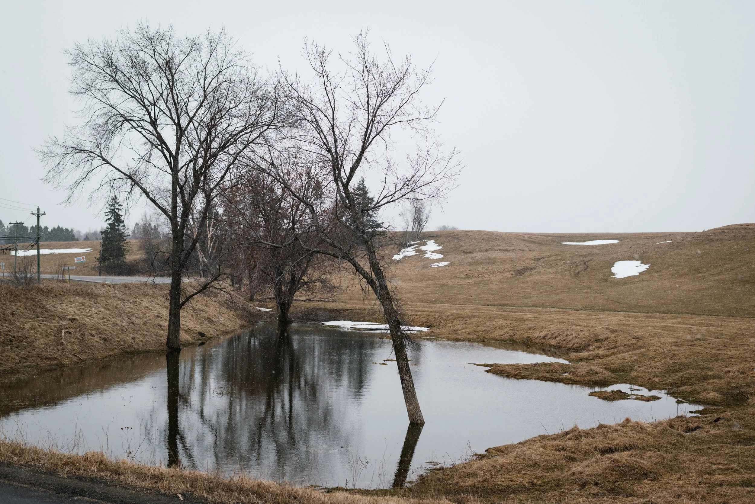 DSC_4906.jpg