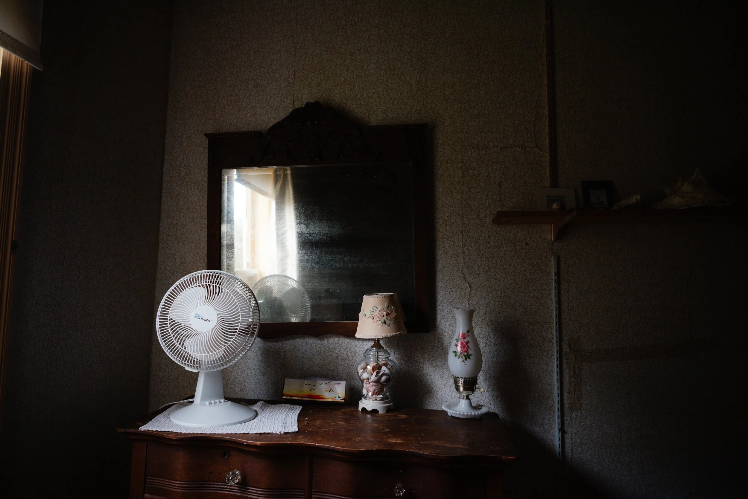 DSC_0393.jpg