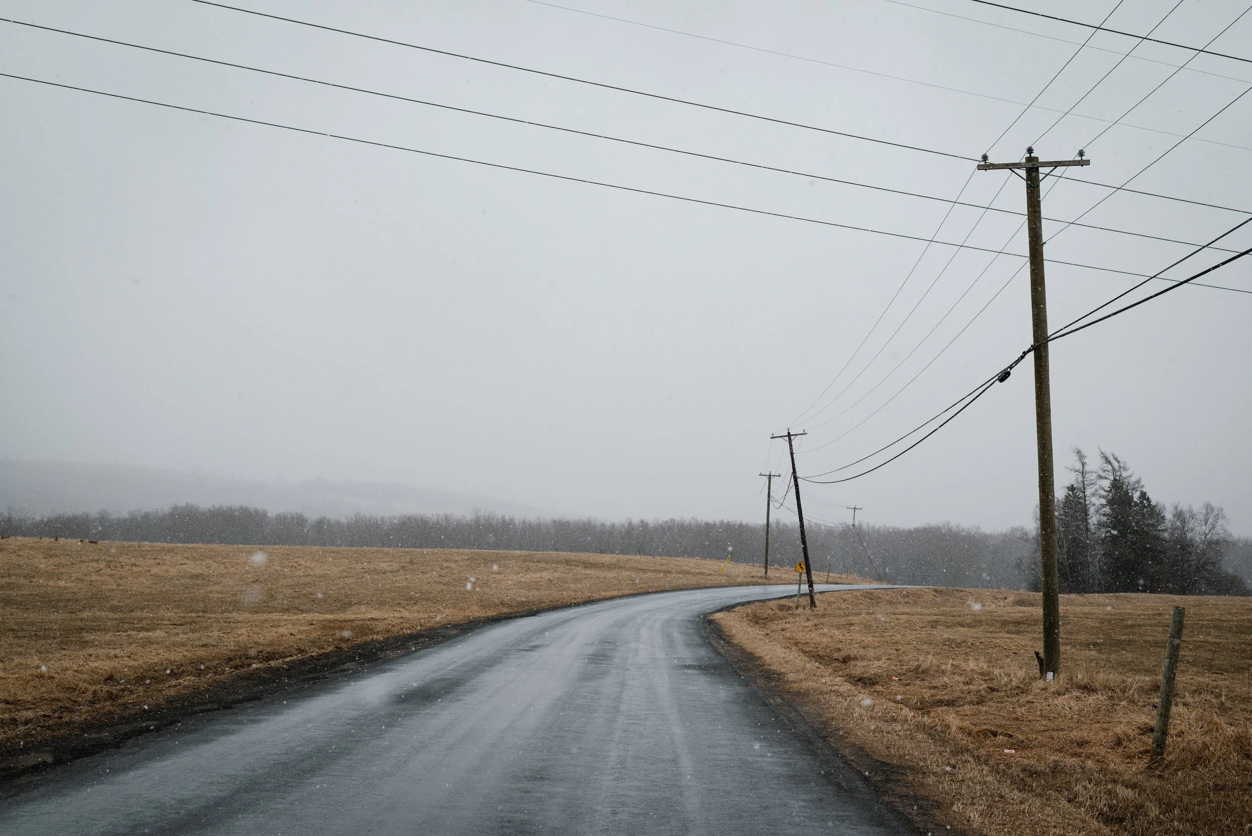DSC_4961.jpg