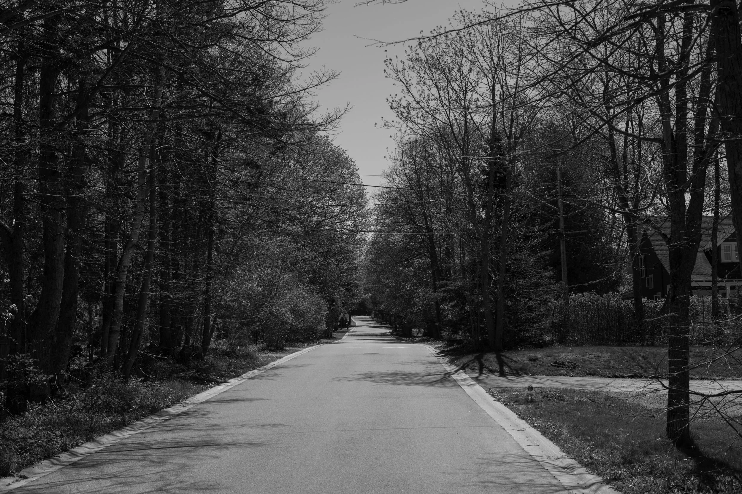 DSC_0442.jpg