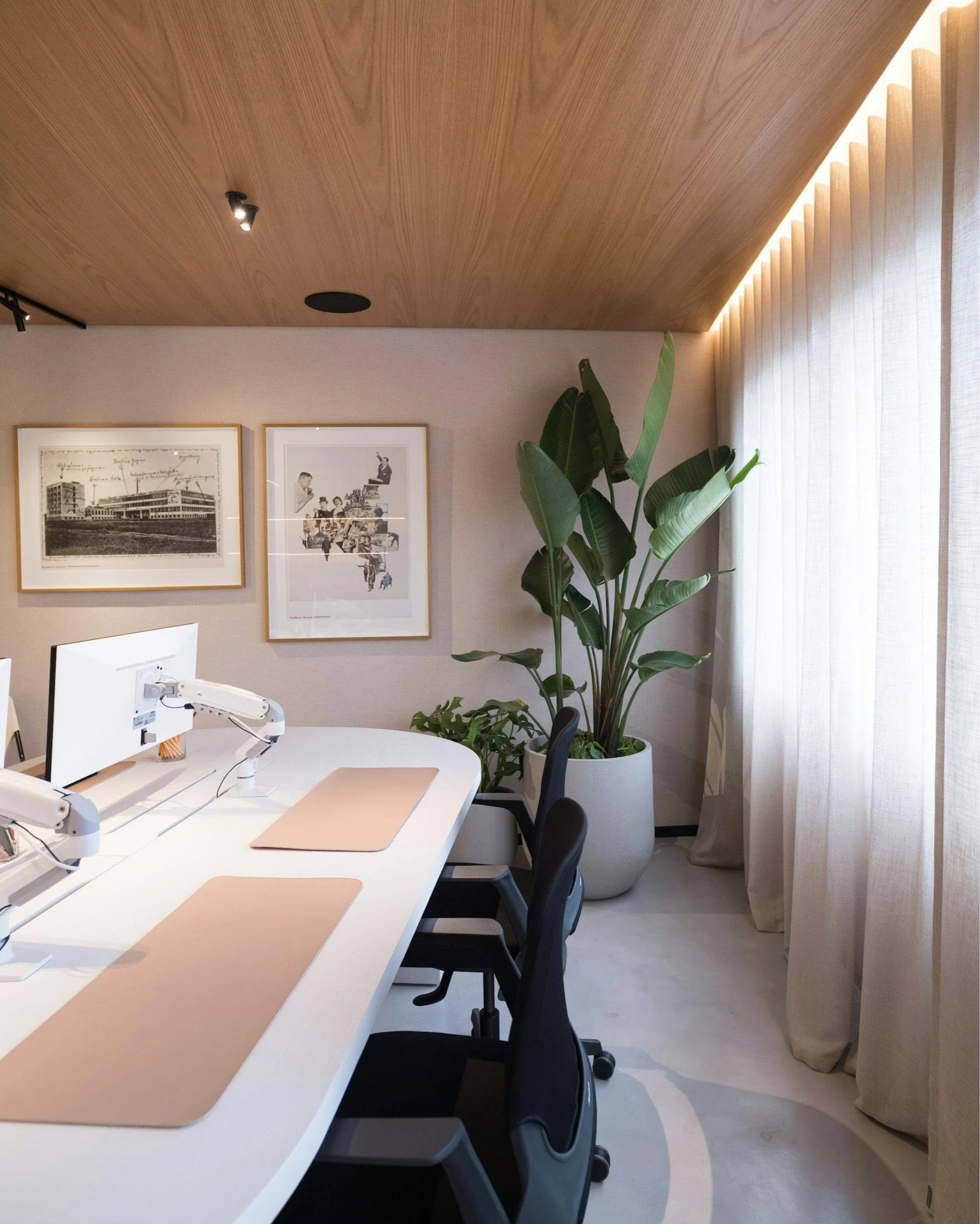 Modern office with a white conference table, computer monitors, black chairs, framed artwork, large potted plants, and floor-to-ceiling curtains.