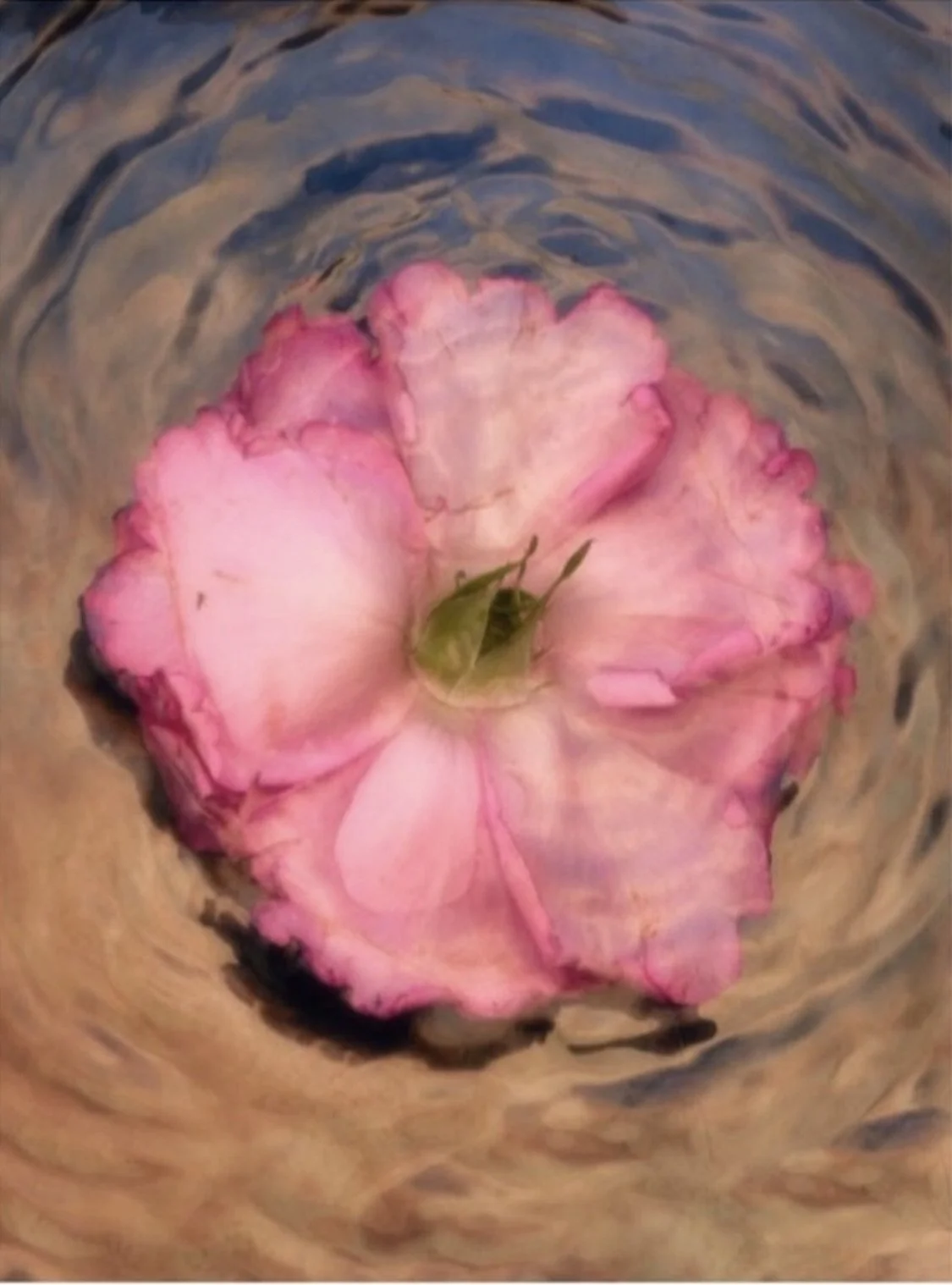 THE TRANSFORMATION OF THE HEART