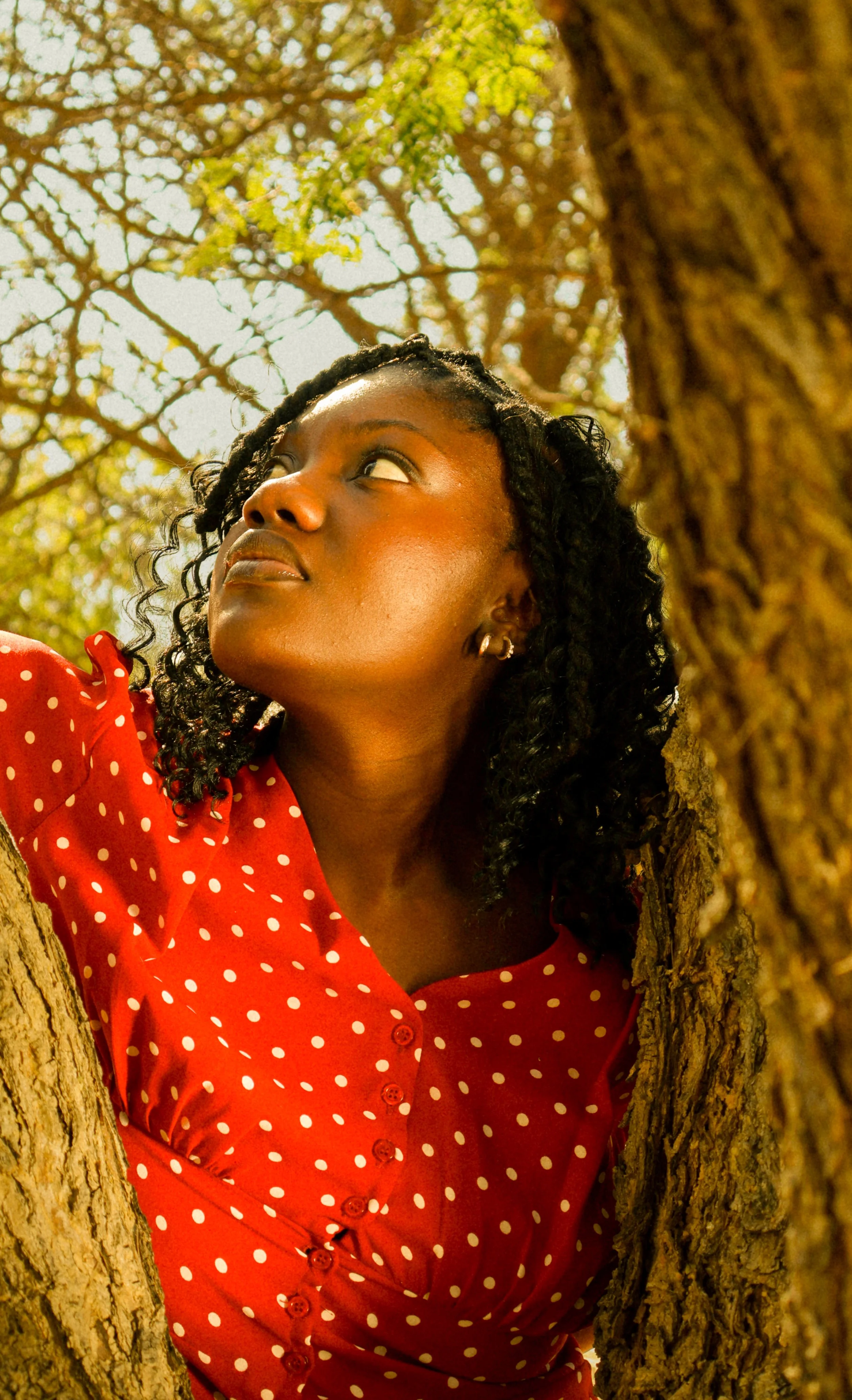 An editorial portrait photograph of Jane Simataa staring up at the sky while being framed between a tree taken by Kim Kambinda in Windhoek, Namibia.