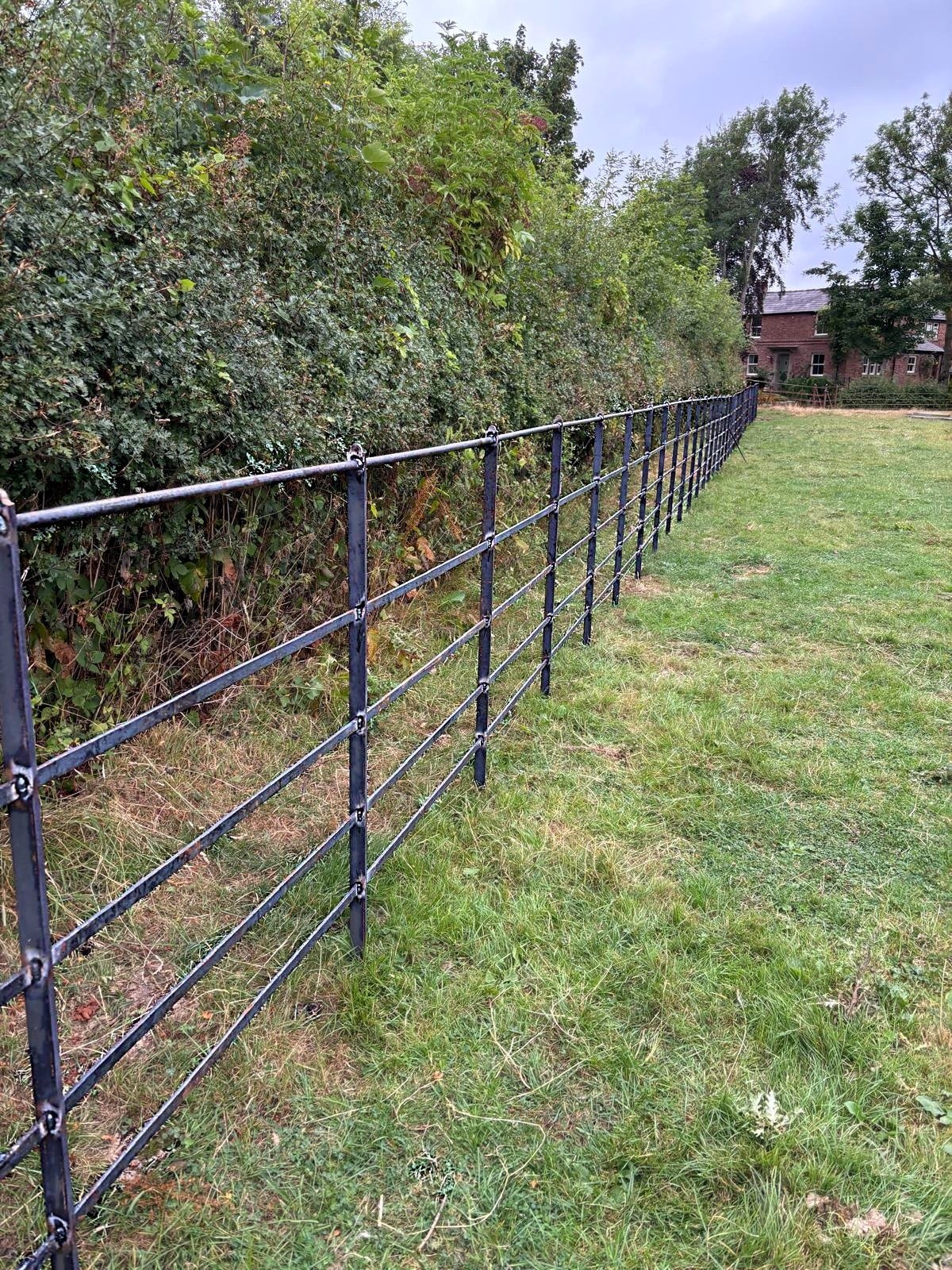Black steel estate fencing installed beside a hedgerow