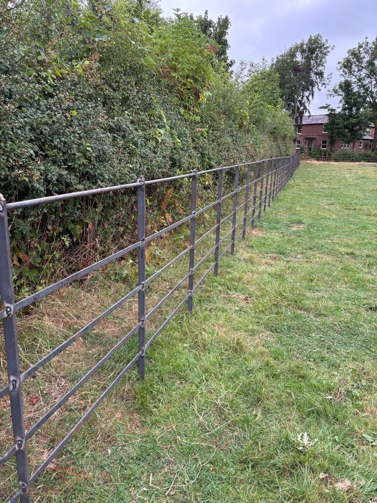 Steel continuous bar estate fencing installed along a hedge line