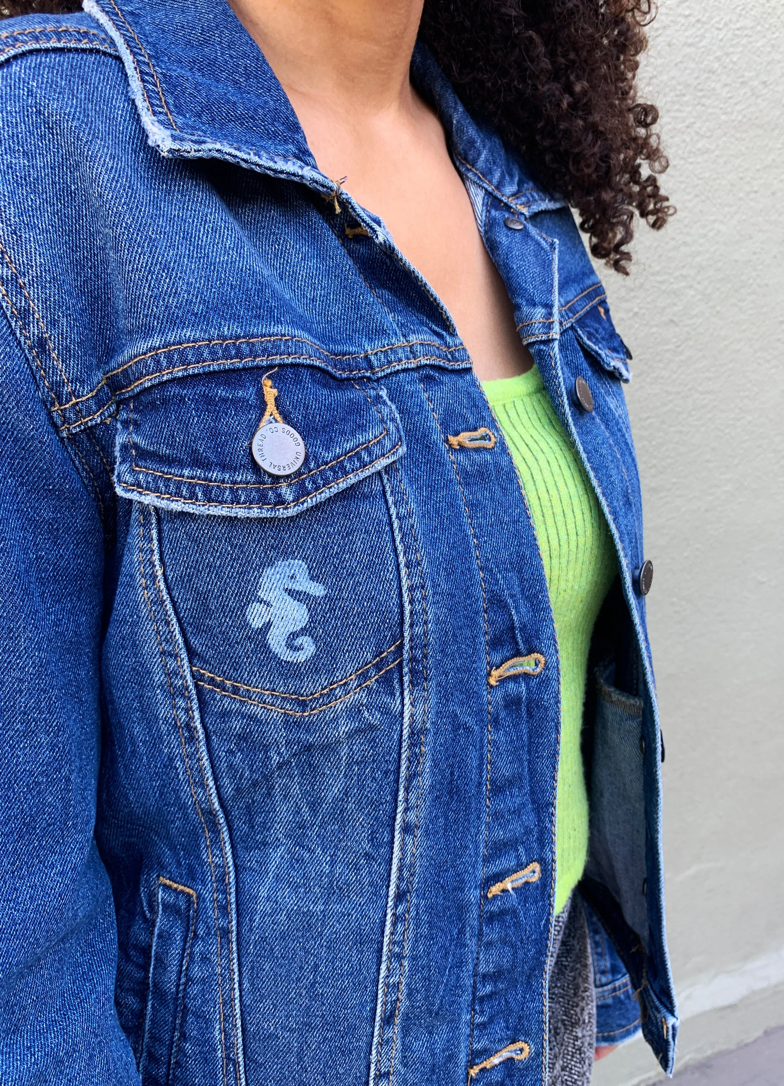 seahorse-family-4.jpg