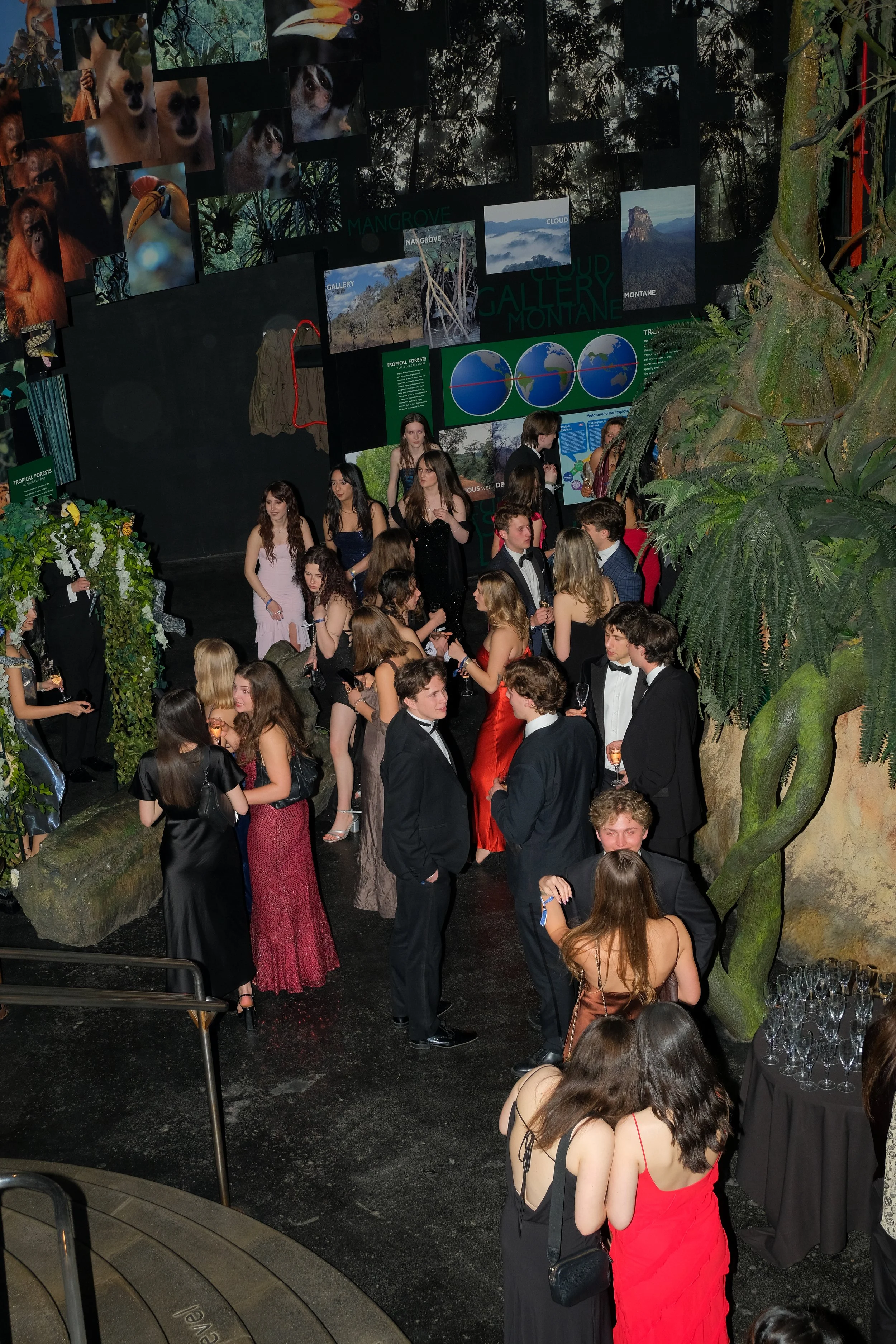 A group of young people in formal attire at a tropical-themed event or dance, with jungle-themed decorations and informational posters about tropical forests and wildlife in the background.