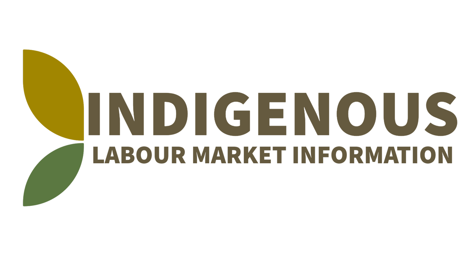 Indigenous Labour Market Information