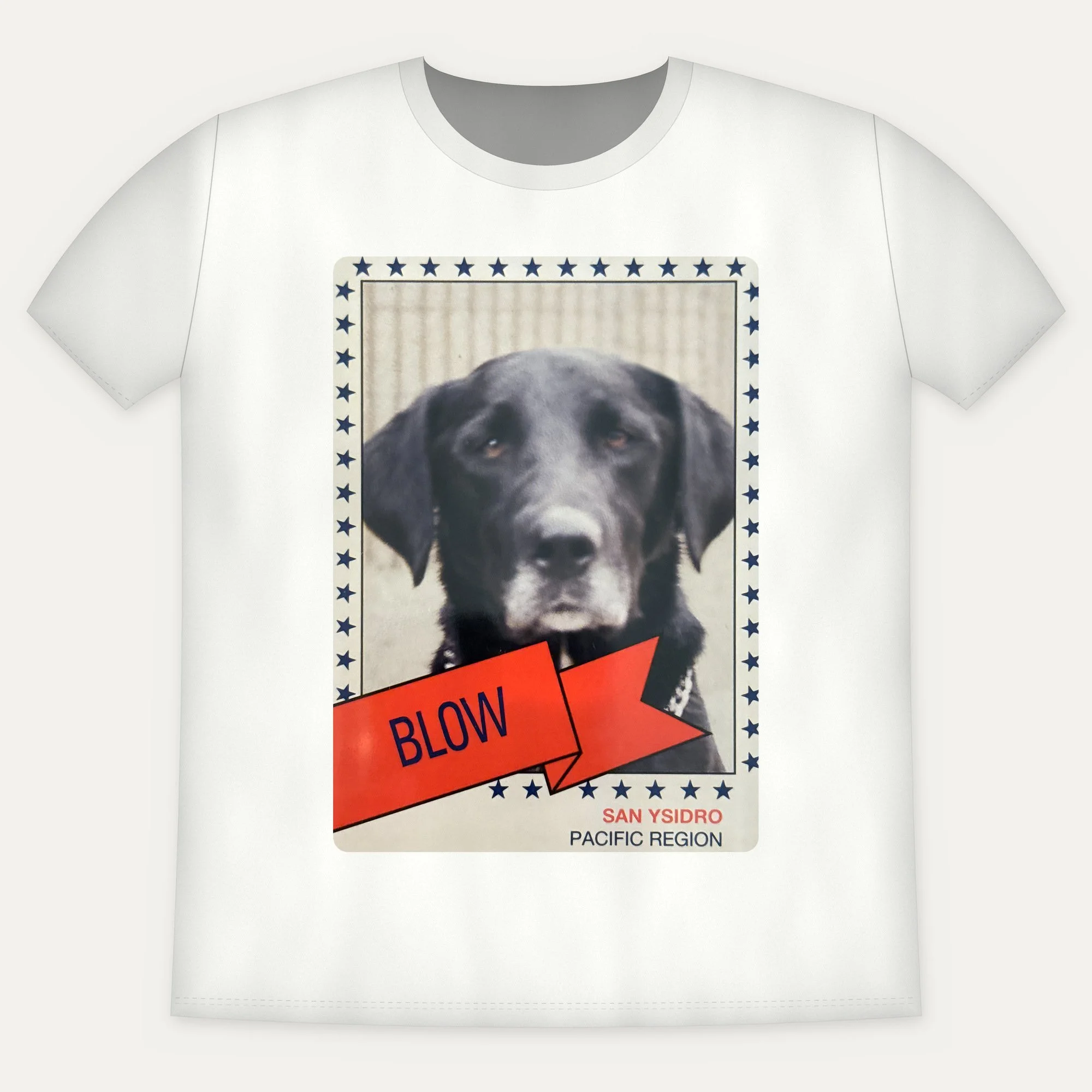 blow-1991-tee-front.jpg