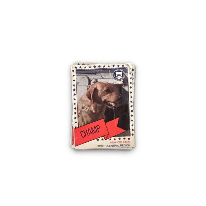 packs-anim.gif