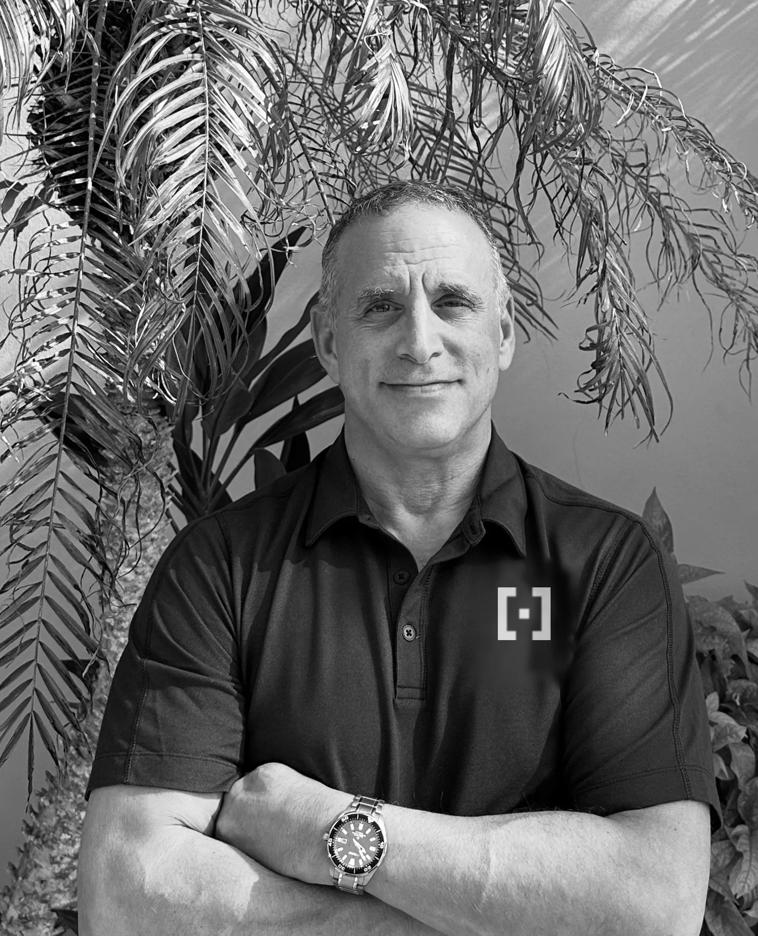 Alan Damashek