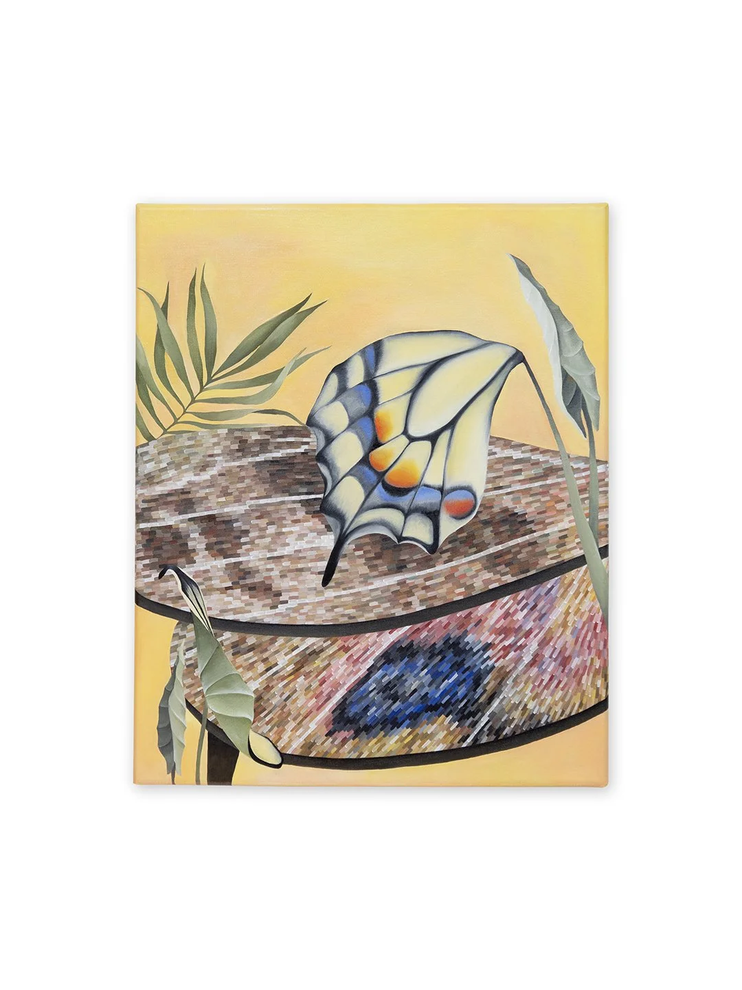 lepidopteres.jpg
