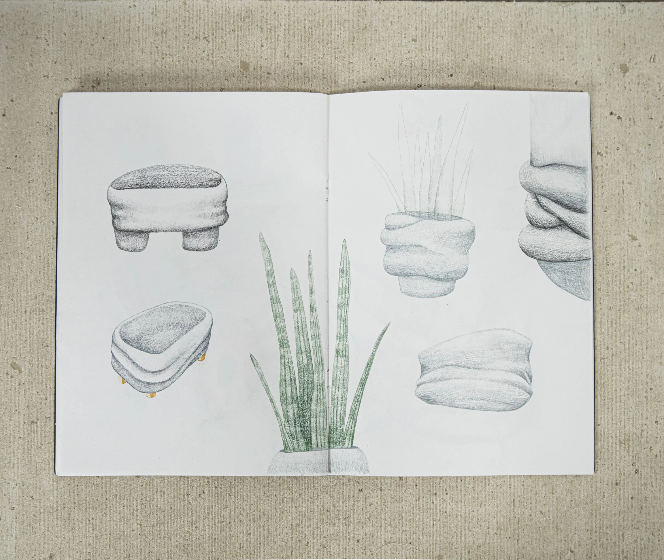 croquis-rhinopot.jpg