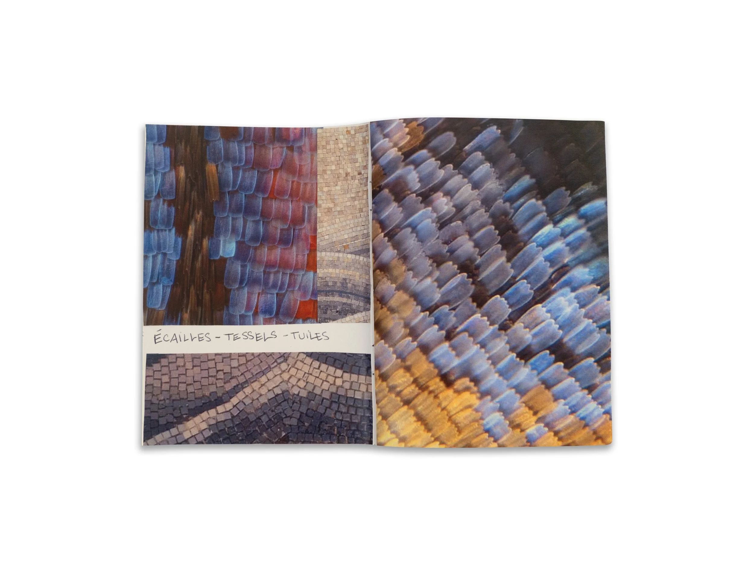 carnet papillon.jpg