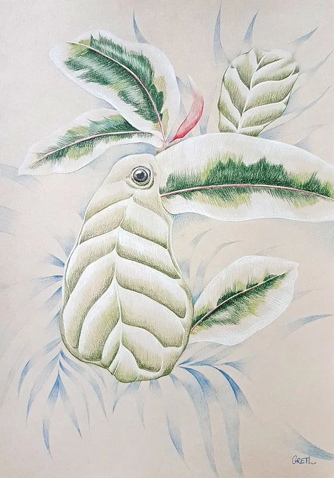 toucans 2.jpg