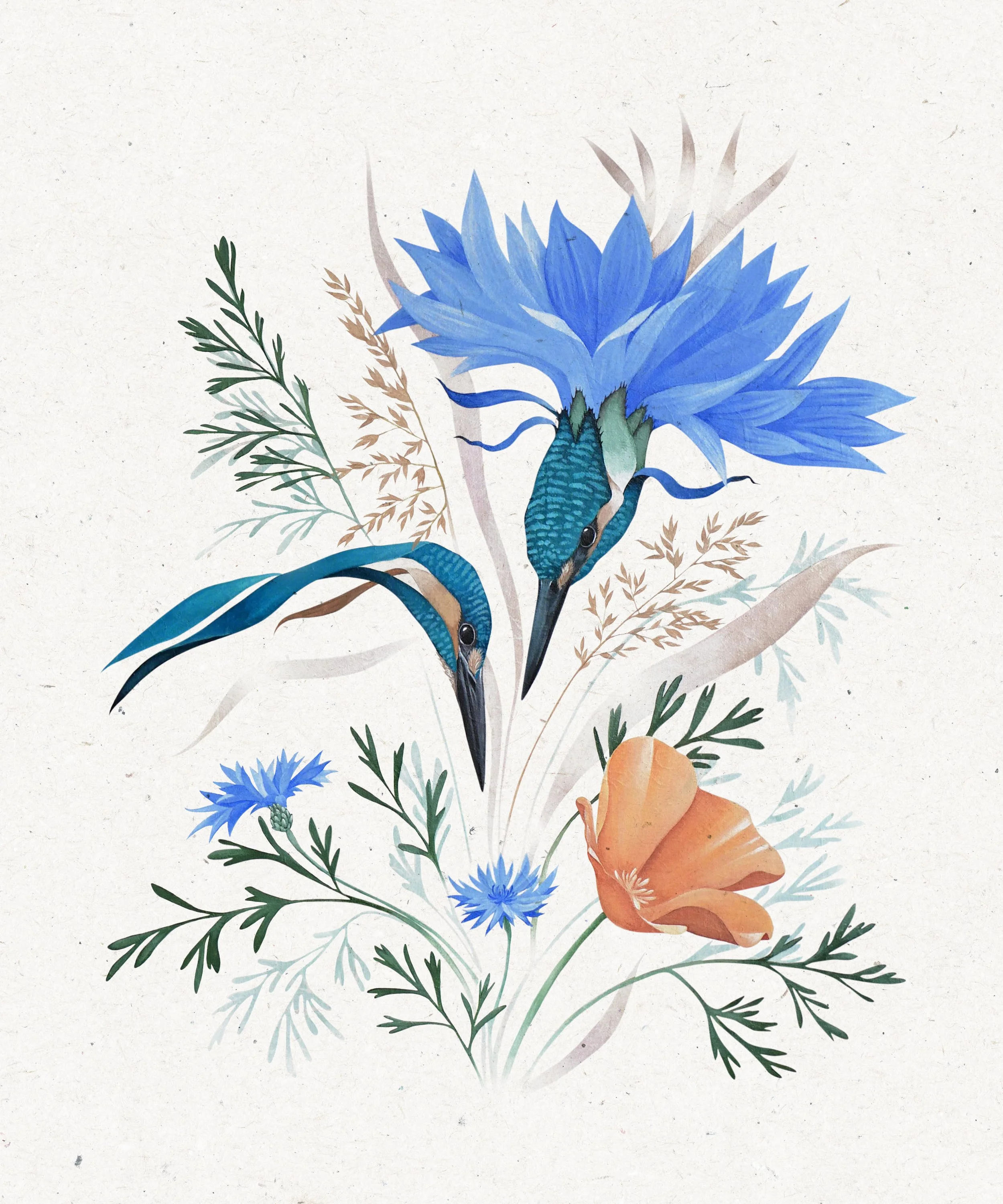 bluet pecheur detoure.jpg