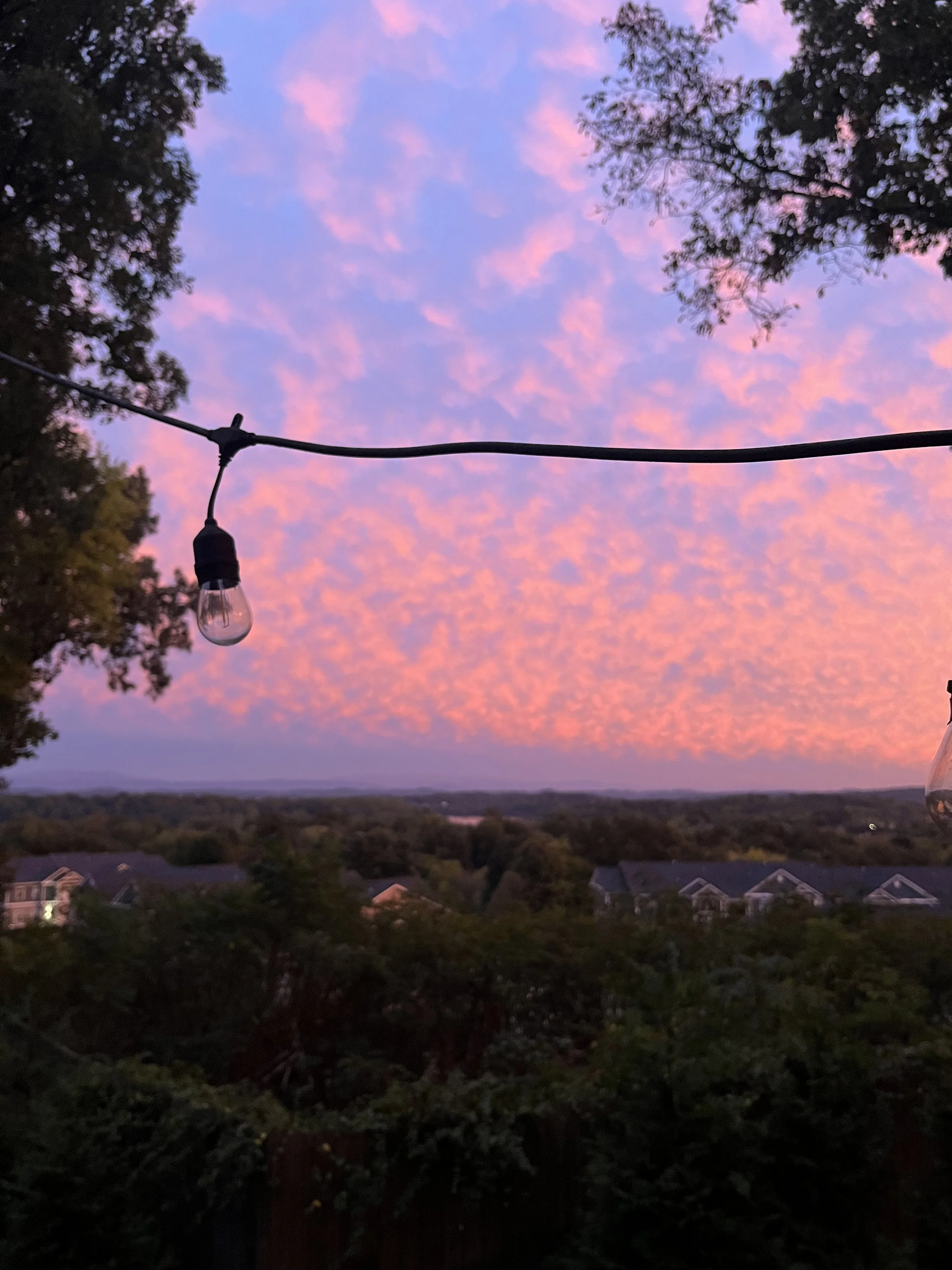 Pink and purple sunset clouds framed by trees, with a hanging string light and suburban rooftops below