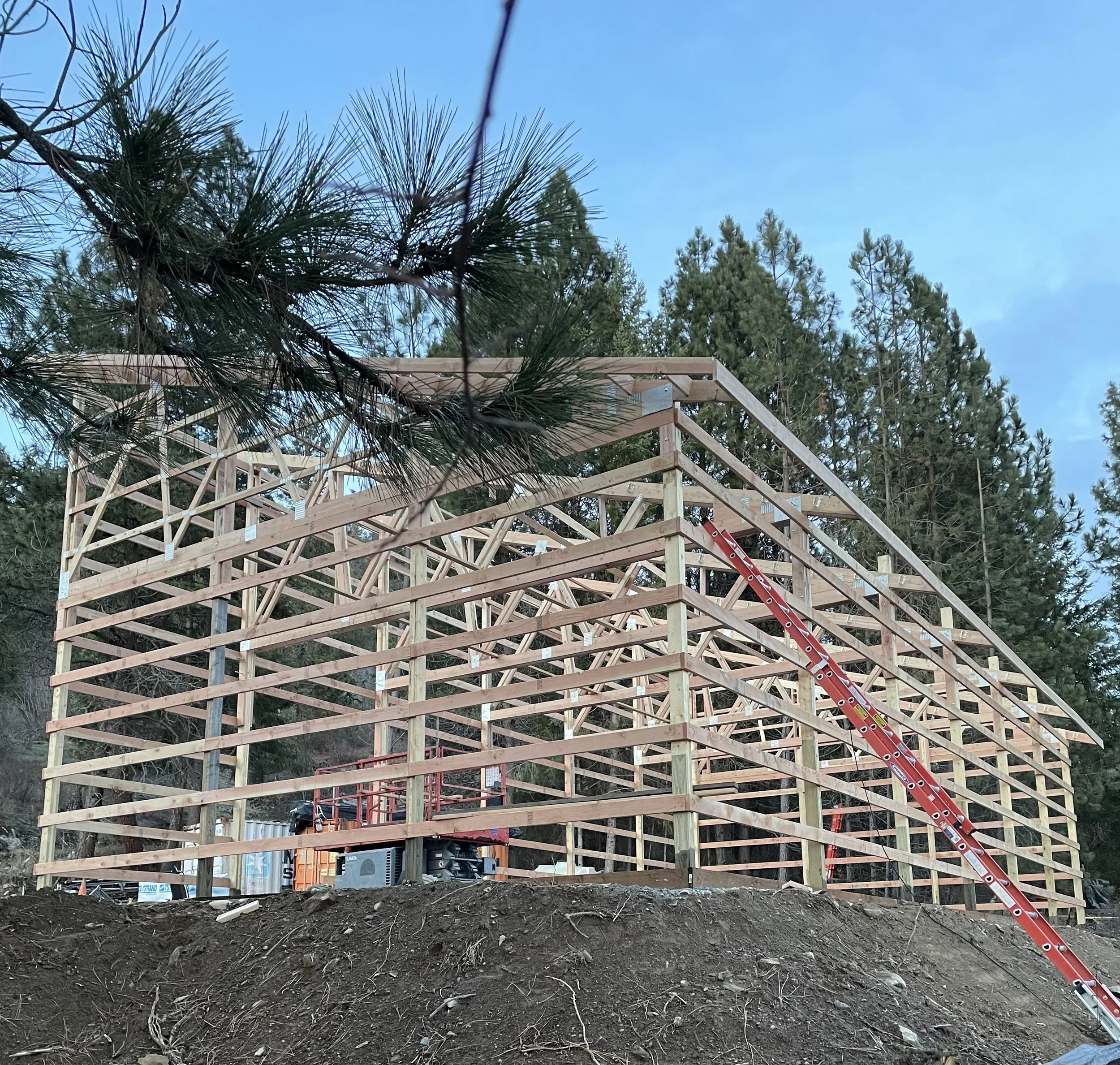 Wooden house frame under construction with a red extension ladder in a forested area
