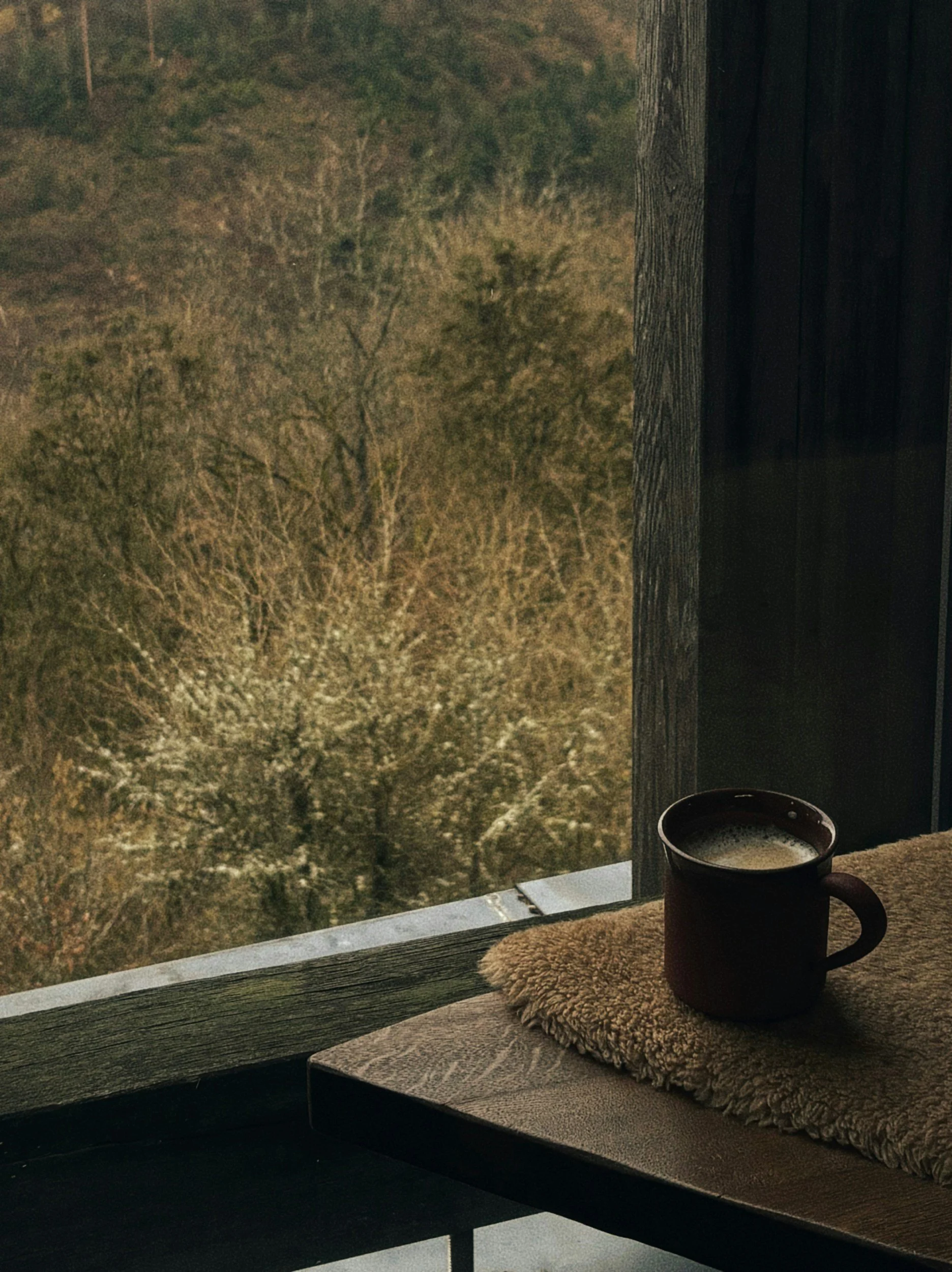 A window view of leafless trees and a cloudy sky during daytime. Inside, a mug of coffee or hot chocolate sits on a ledge with a fuzzy, round pillow and a textured blanket nearby.