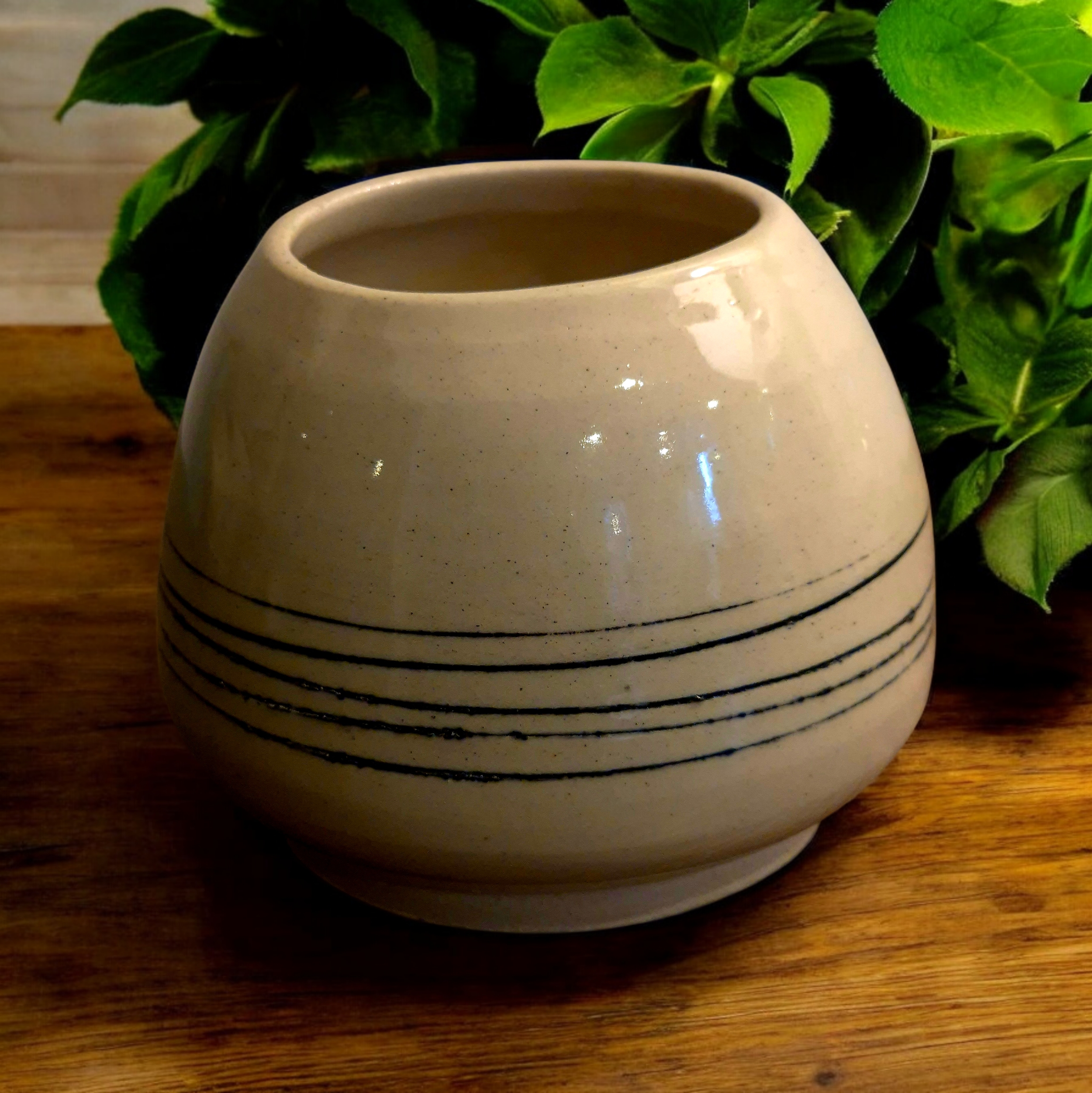 Beige ceramic planter with black horizontal stripes on a wooden table, surrounded by green leaves