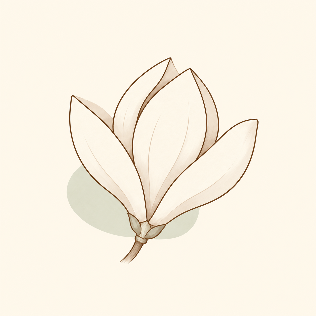 Minimalist botanical illustration of a pale magnolia flower with layered petals and a short stem