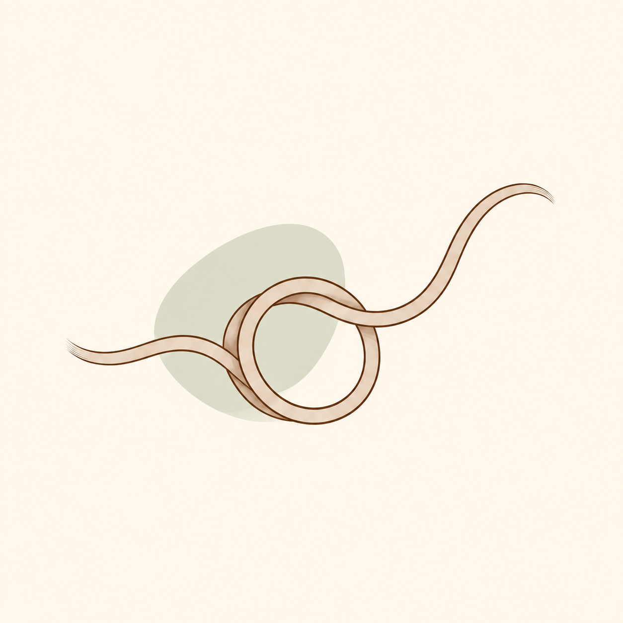 Minimalist illustration of a looping tan ribbon or rope over a pale green oval shadow