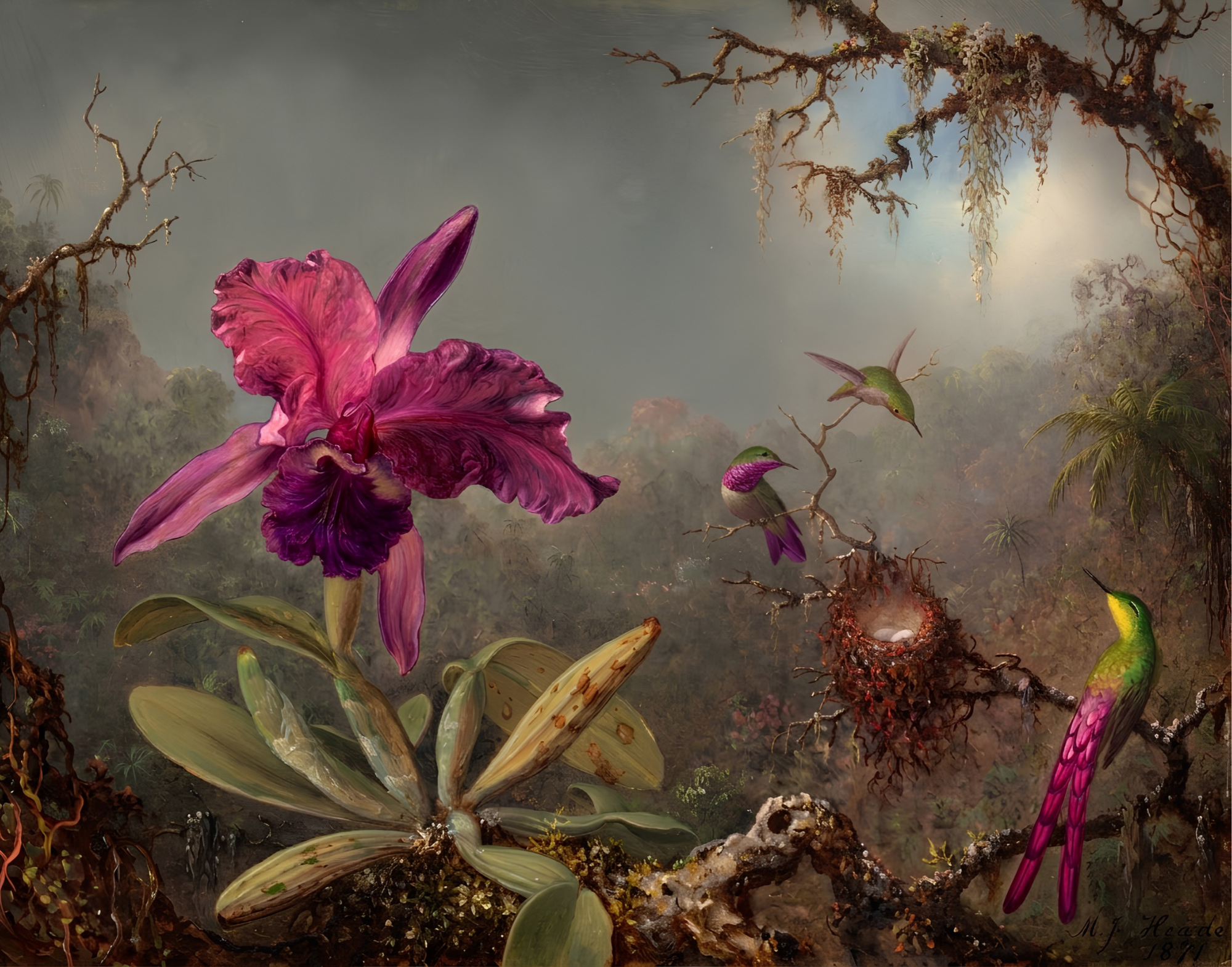 Orchid Printable Art