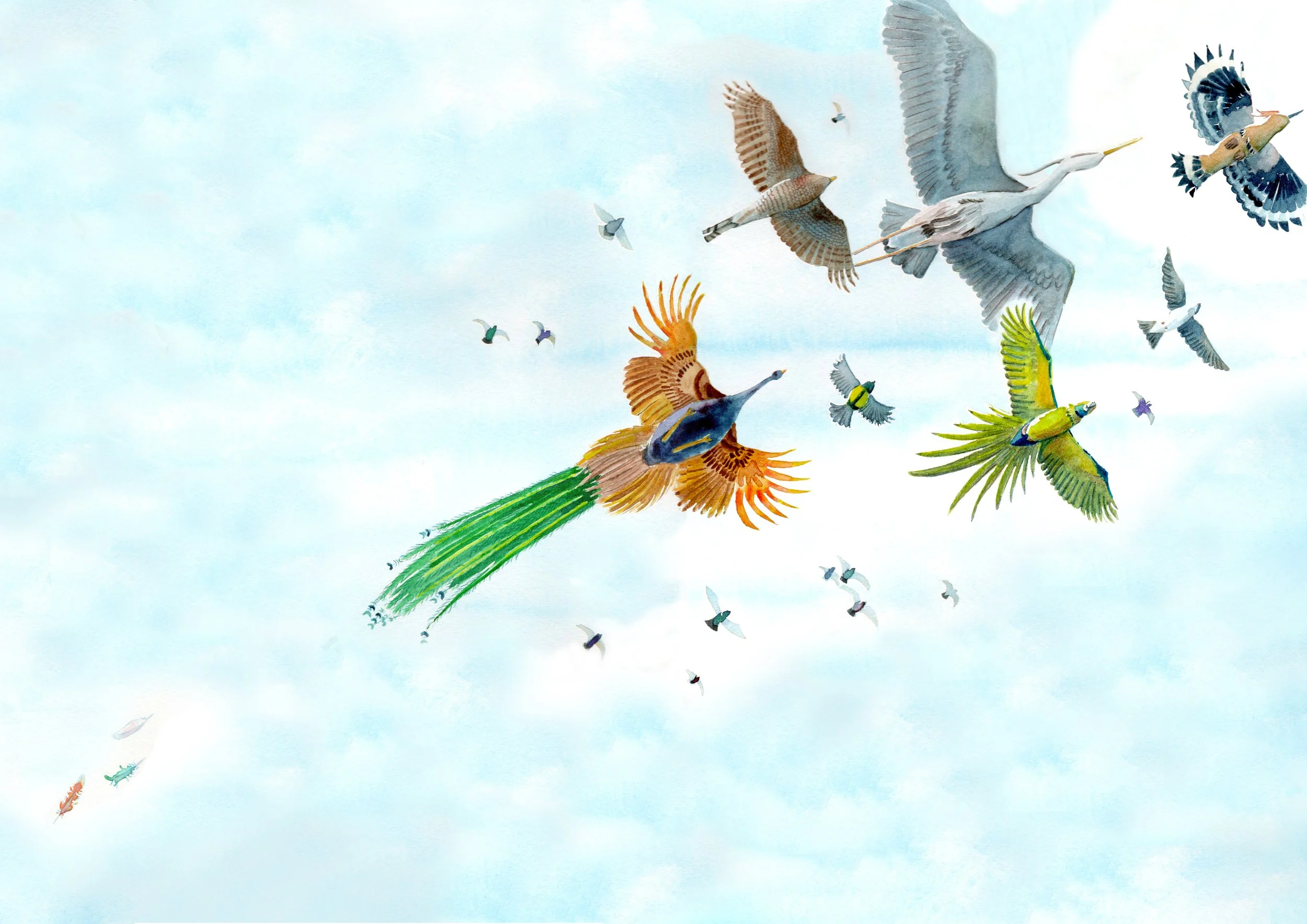 L'Envol des Oiseaux