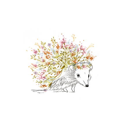 Bulle de Riz - Illustrations